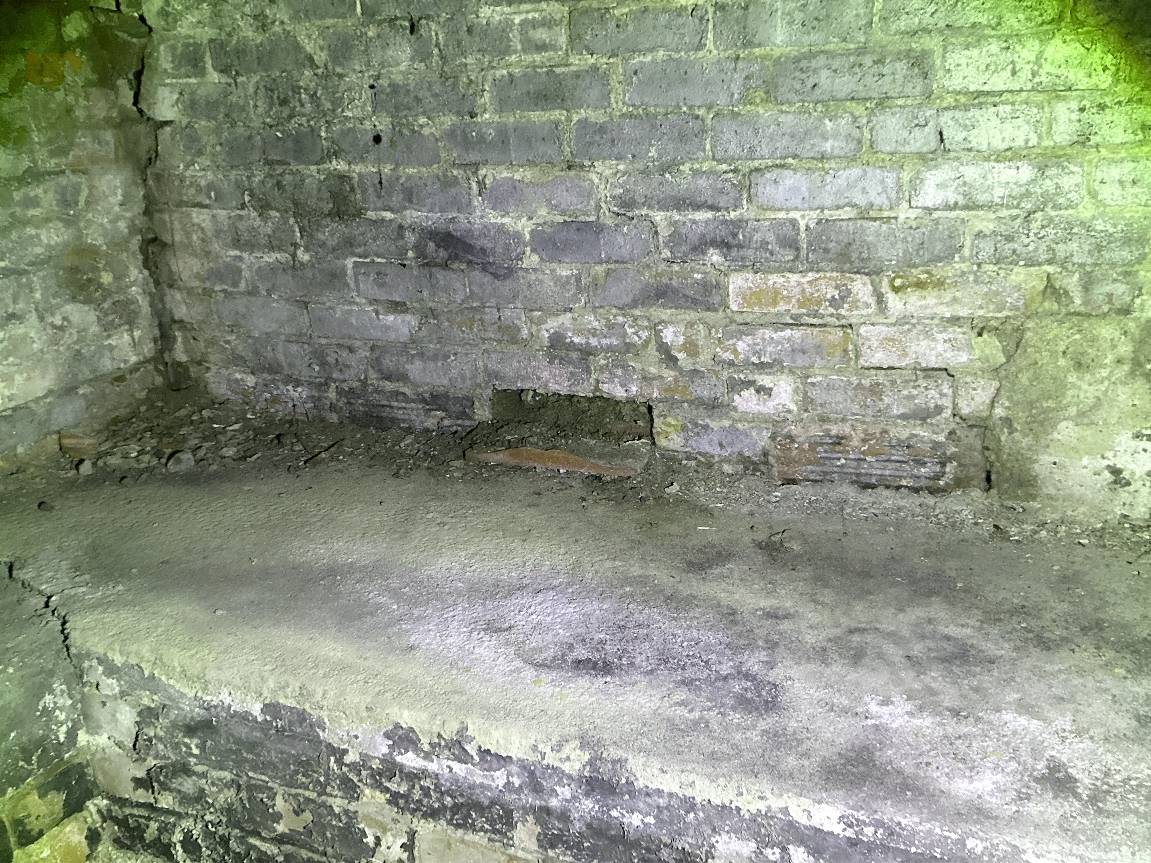 Deteriorating brick masonry wall with missing bricks in crawlspace 2026-08-08