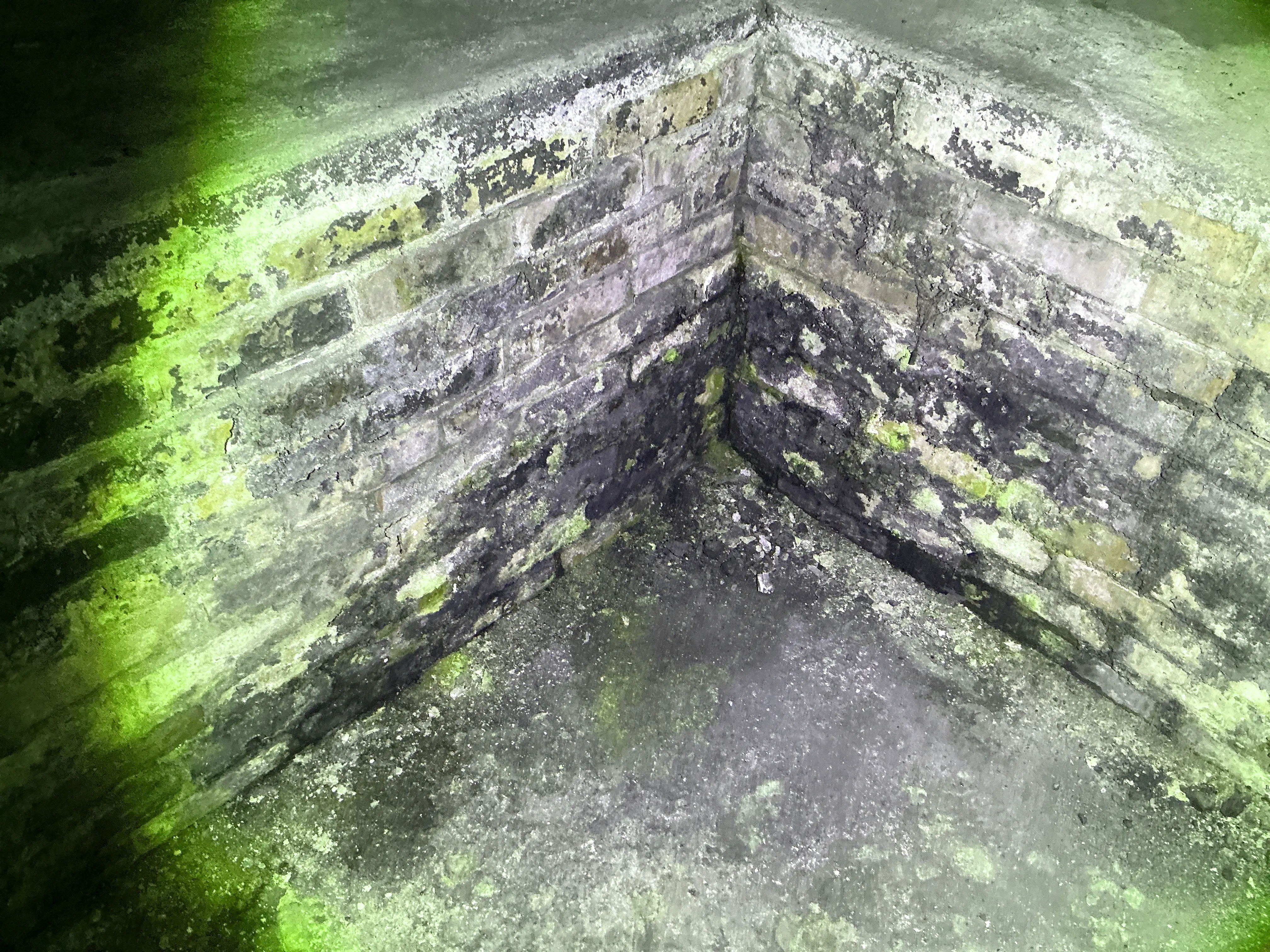 Moisture damage and dark mold staining on brick foundation wall corner in basement 2026-08-08