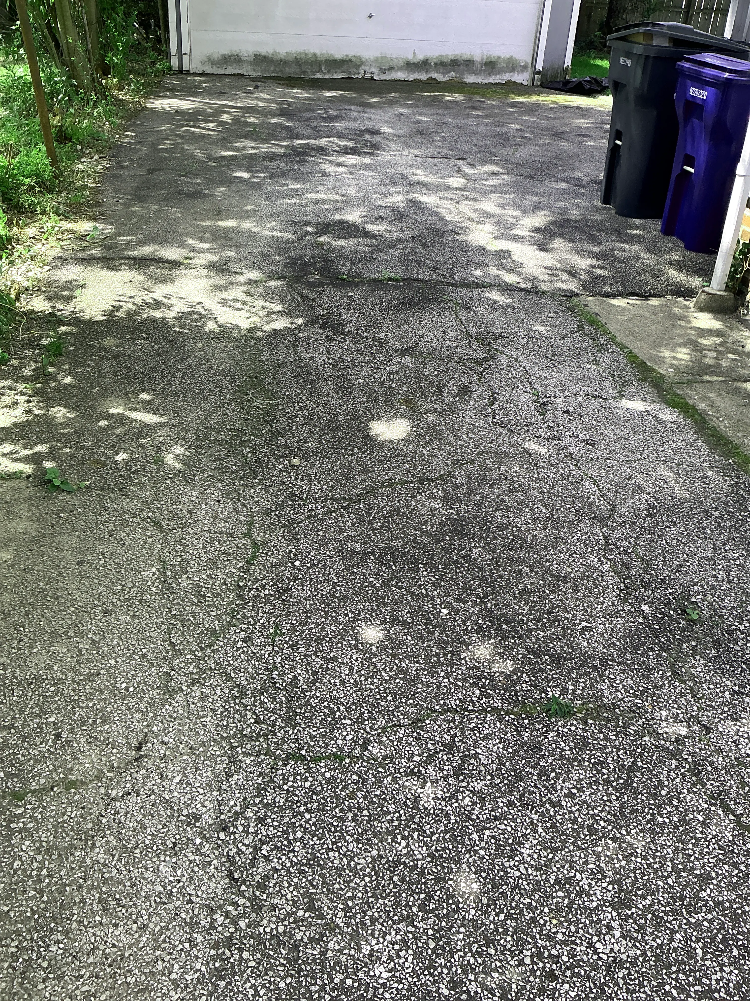 Asphalt driveway with cracking and aging pavement during lead inspection 2026-08-18