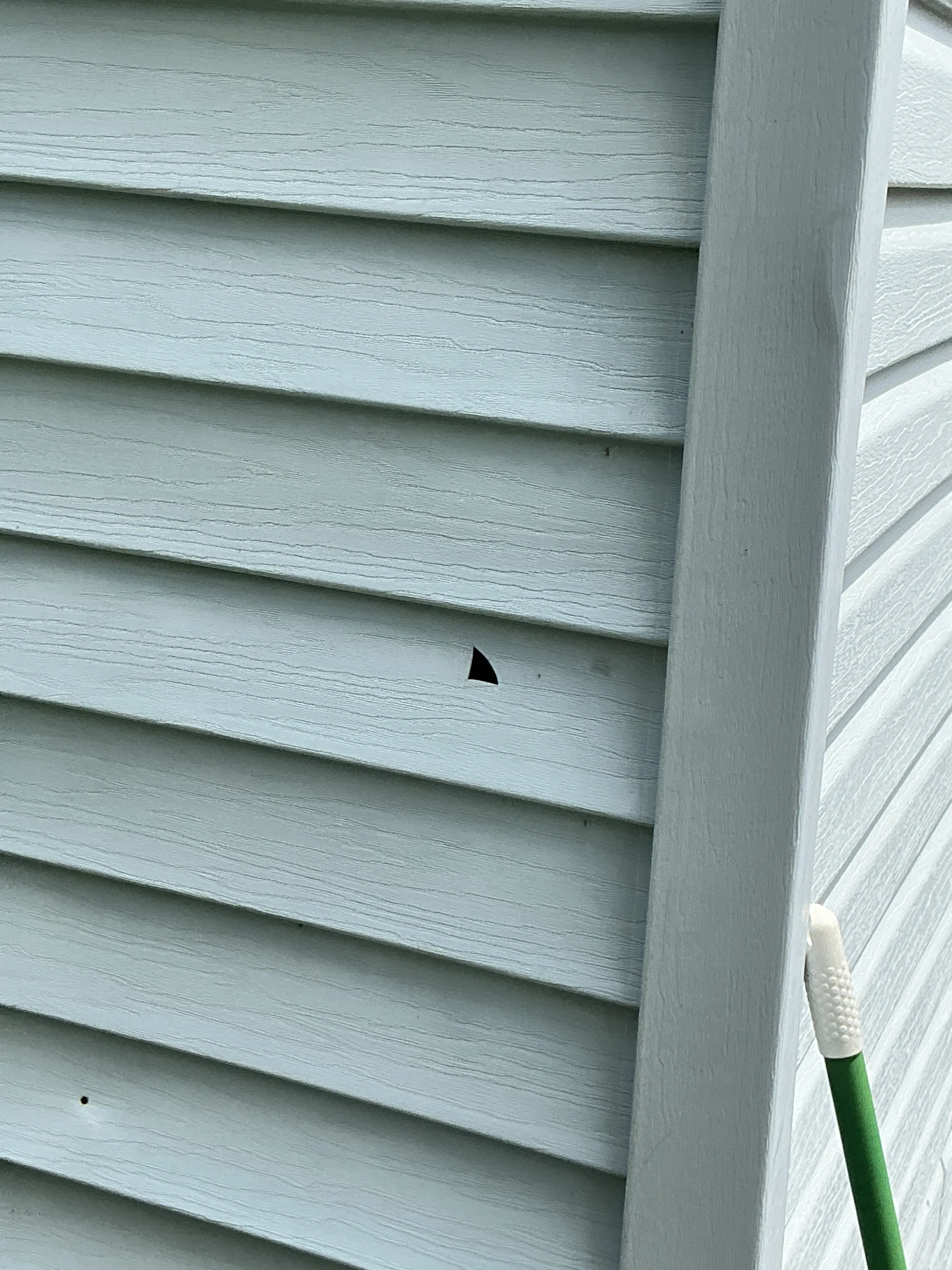 Small hole in exterior vertical siding panel needing repair 2026-08-21