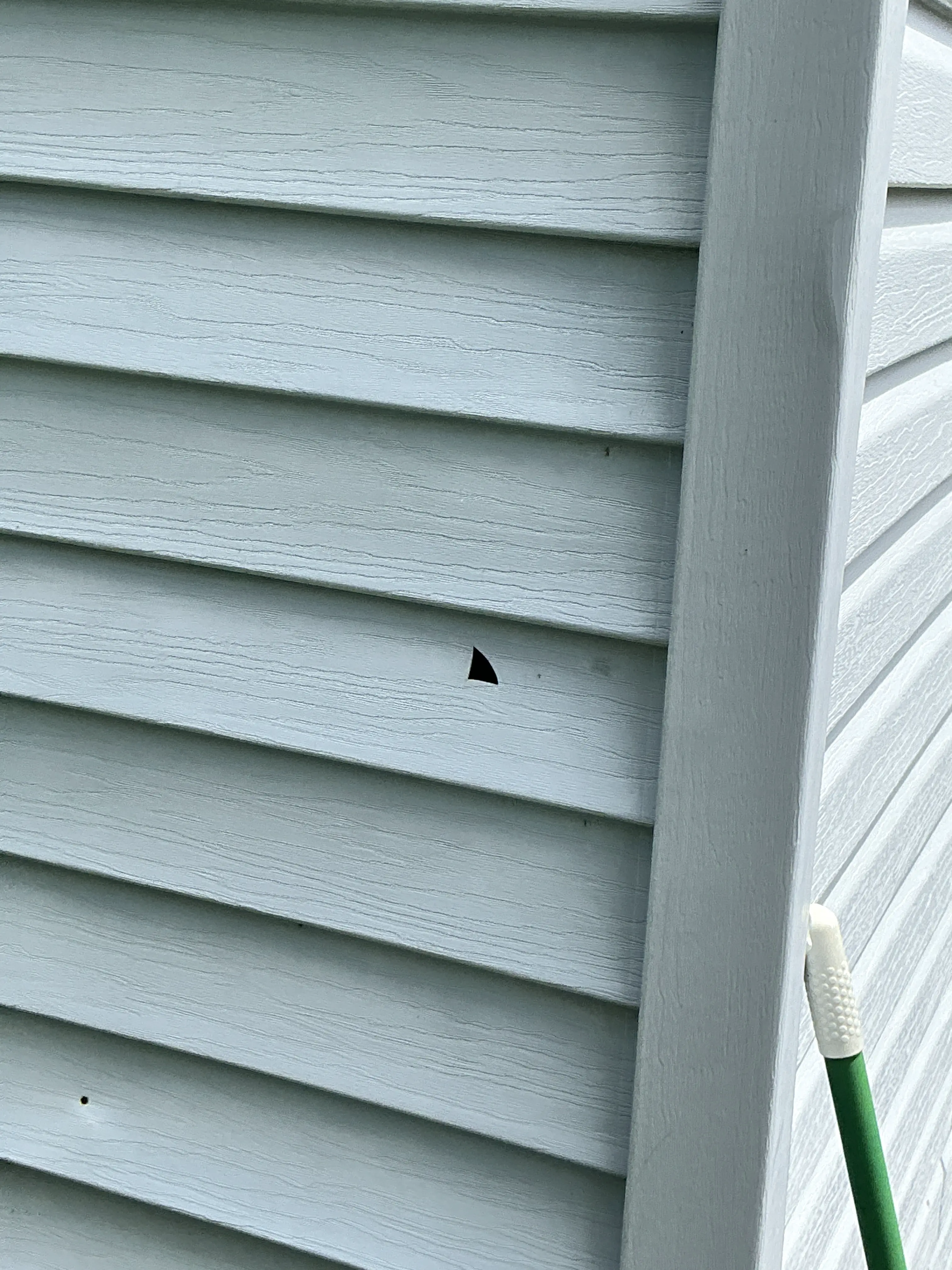 Small hole in exterior vertical siding panel needing repair 2026-08-29