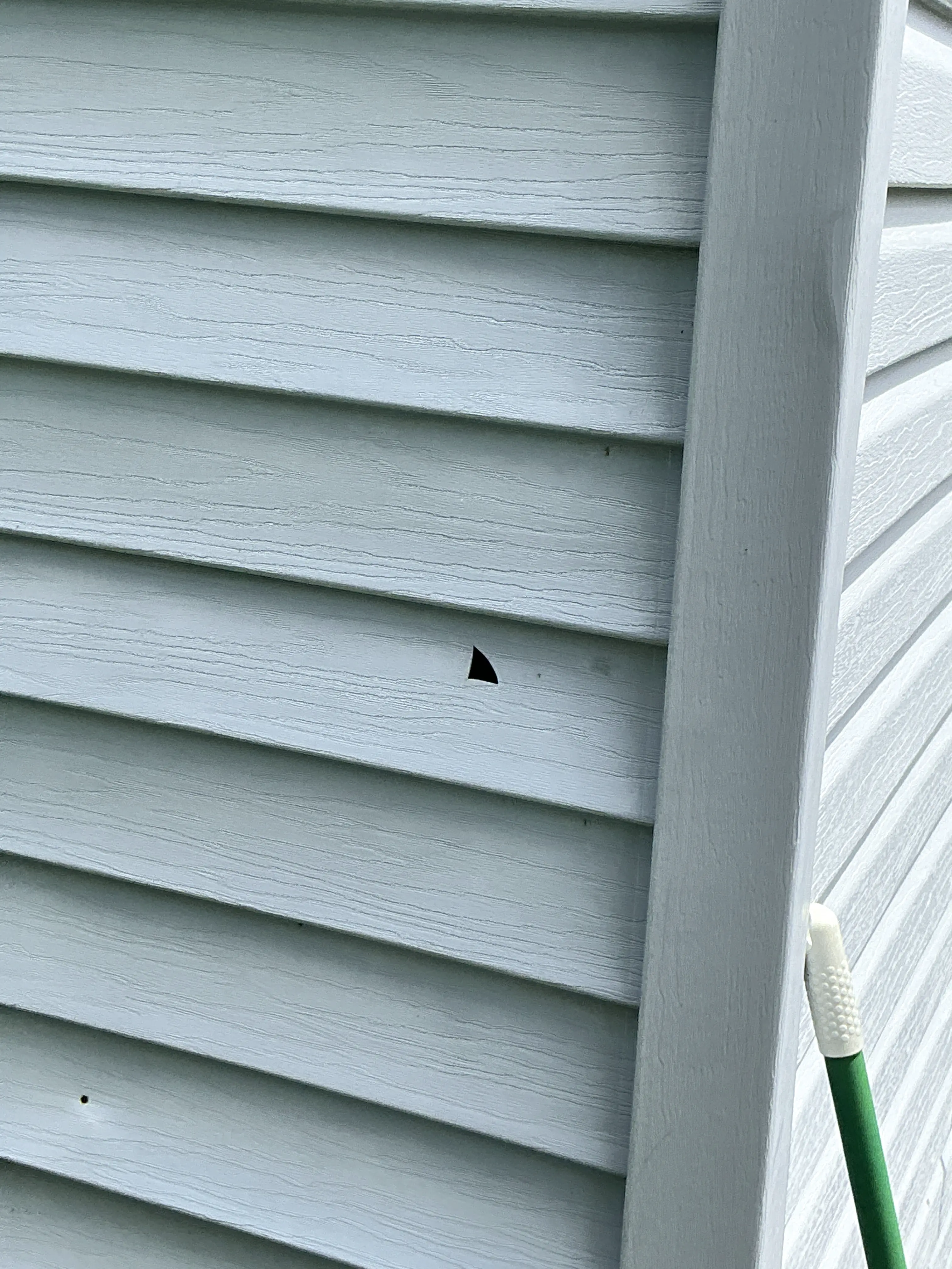 Small hole in exterior vertical siding panel needing repair 2026-08-07