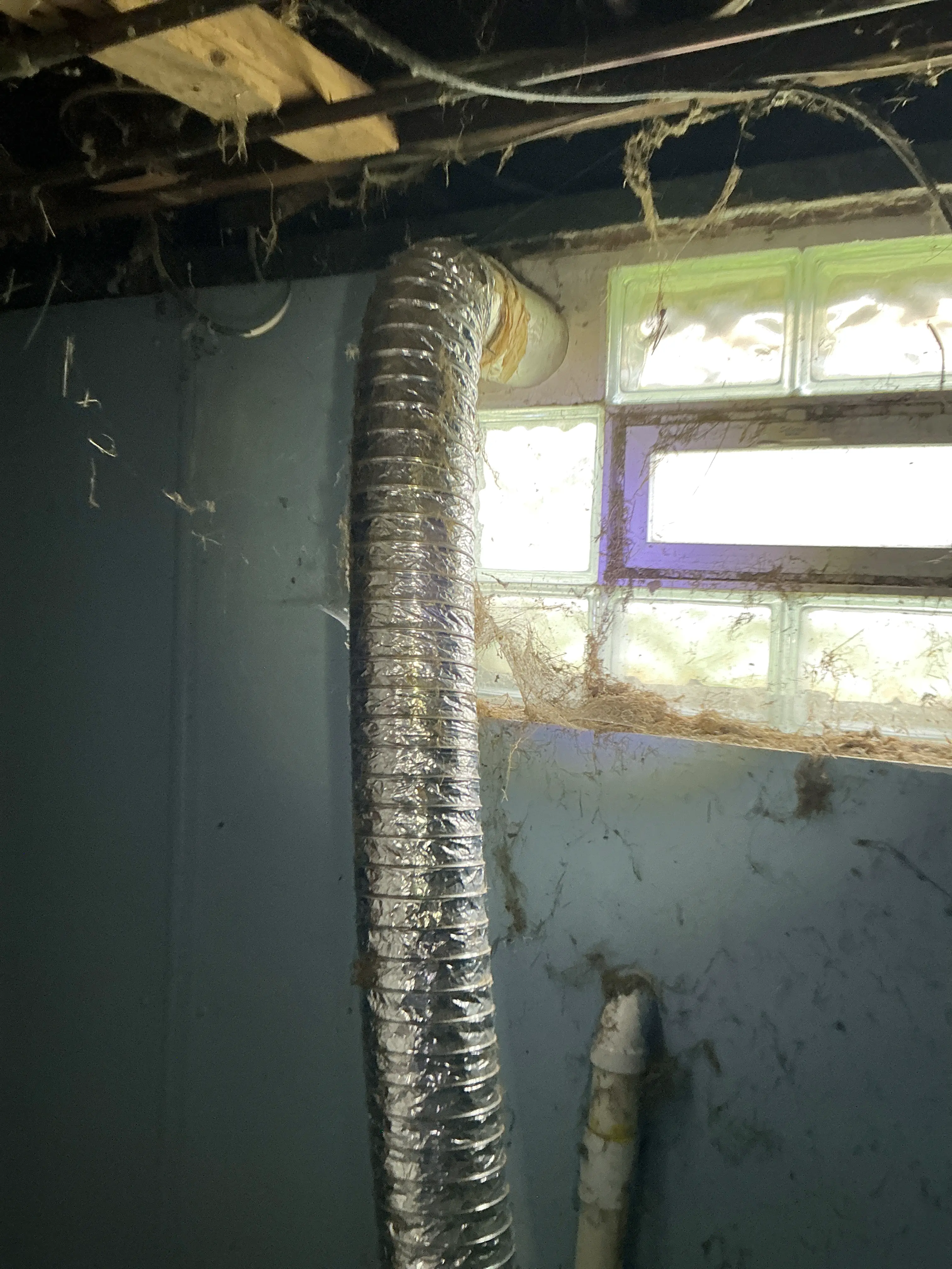 Flexible metal dryer vent hose in basement near glass block window 2026-08-20