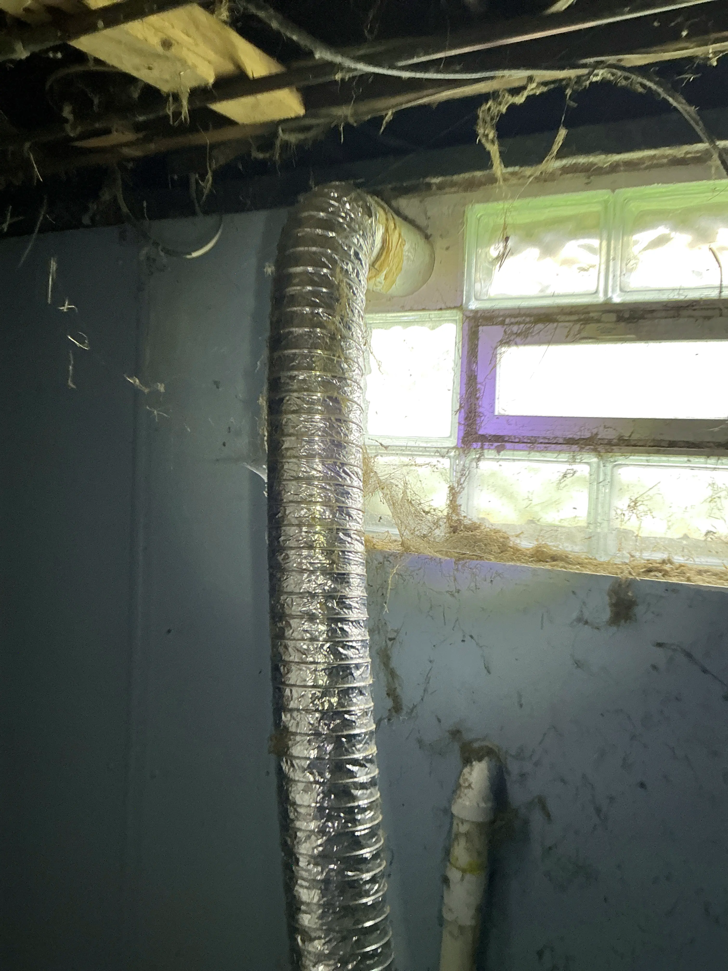 Flexible metal dryer vent hose in basement near glass block window 2026-08-16
