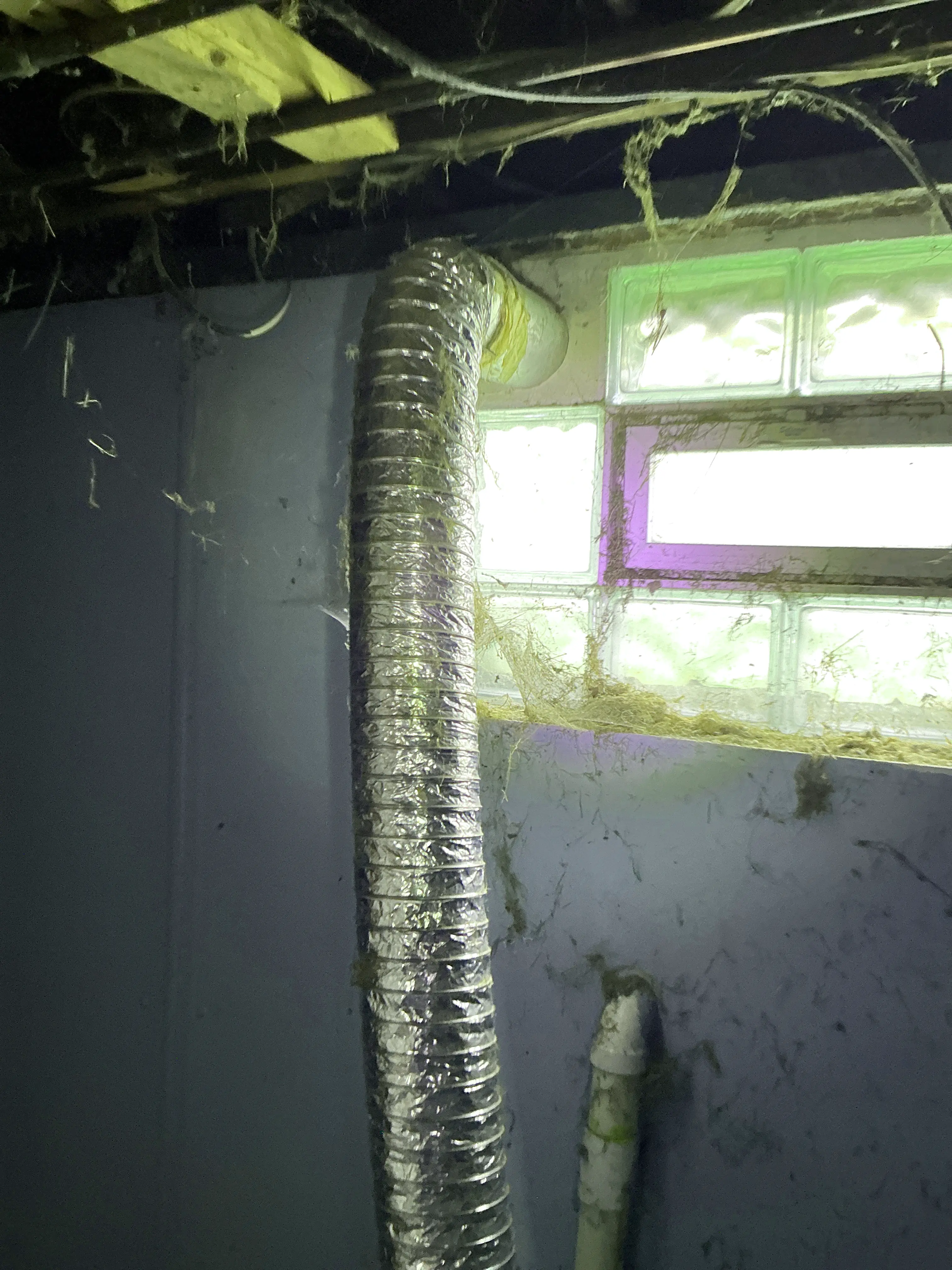 Flexible metal dryer vent hose in basement near glass block window 2026-07-23