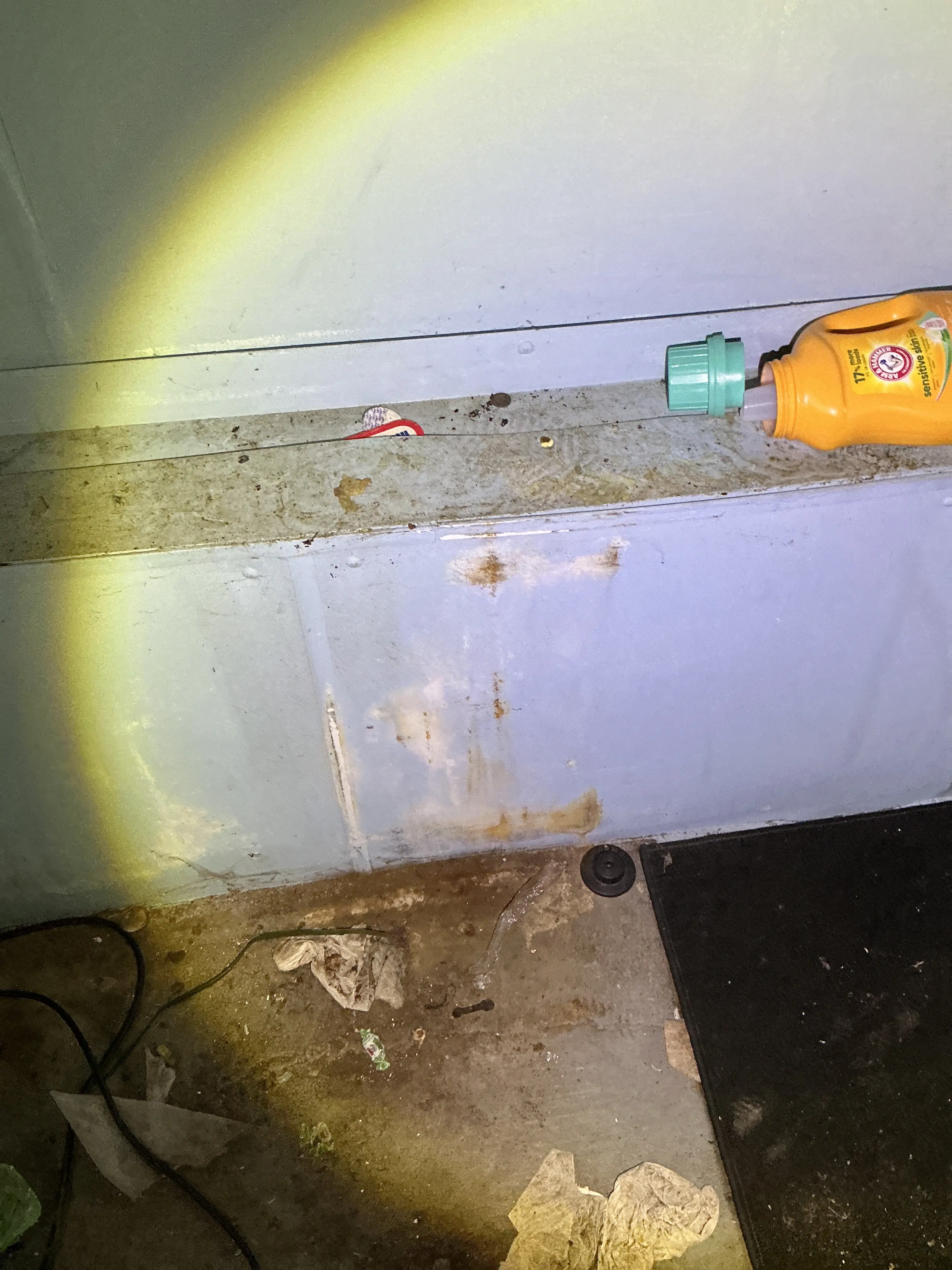 Water staining and moisture damage on wall baseboard in utility room 2026-07-21