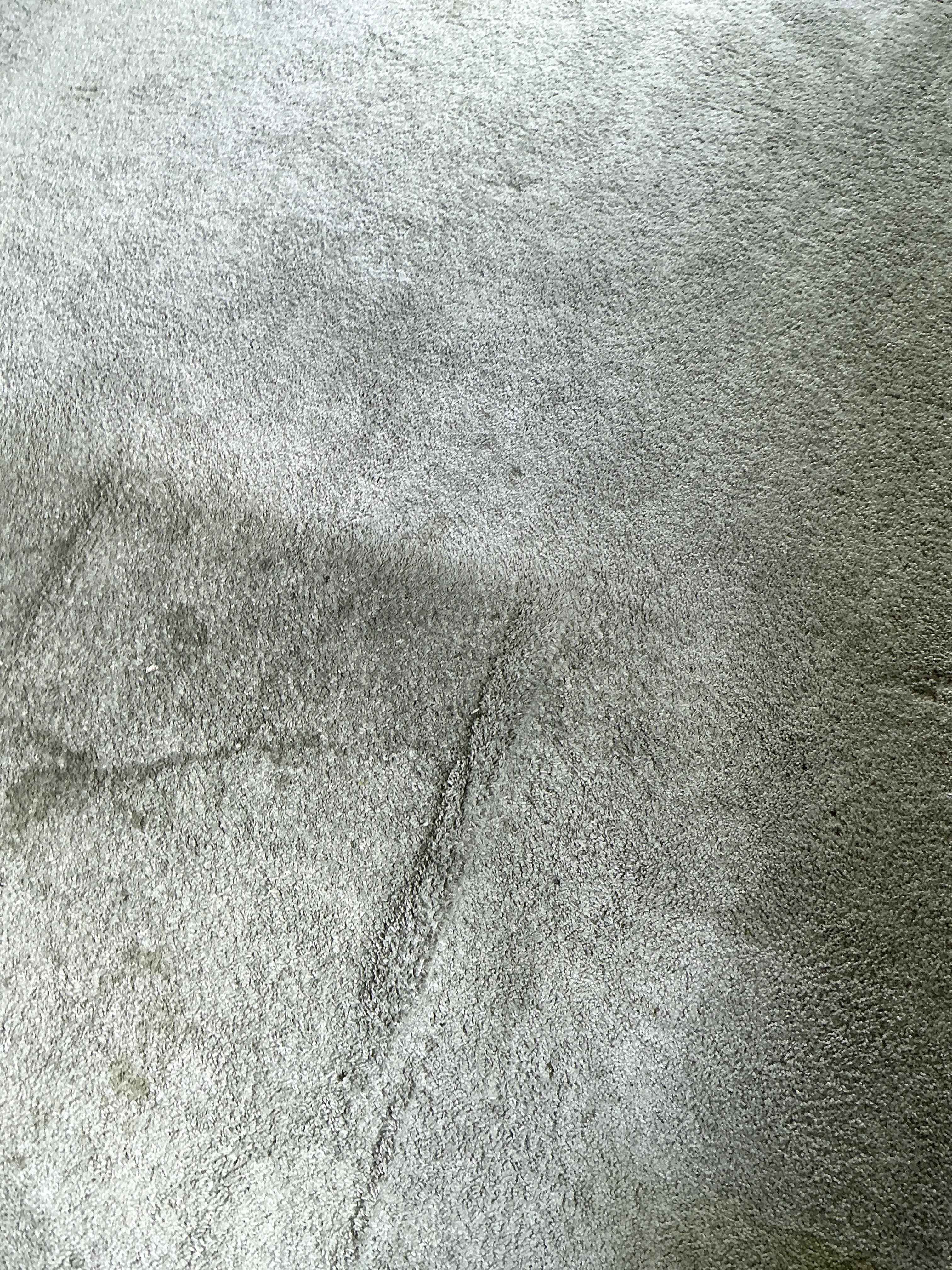 Close-up of grey carpet fabric texture during mold inspection 2026-07-11