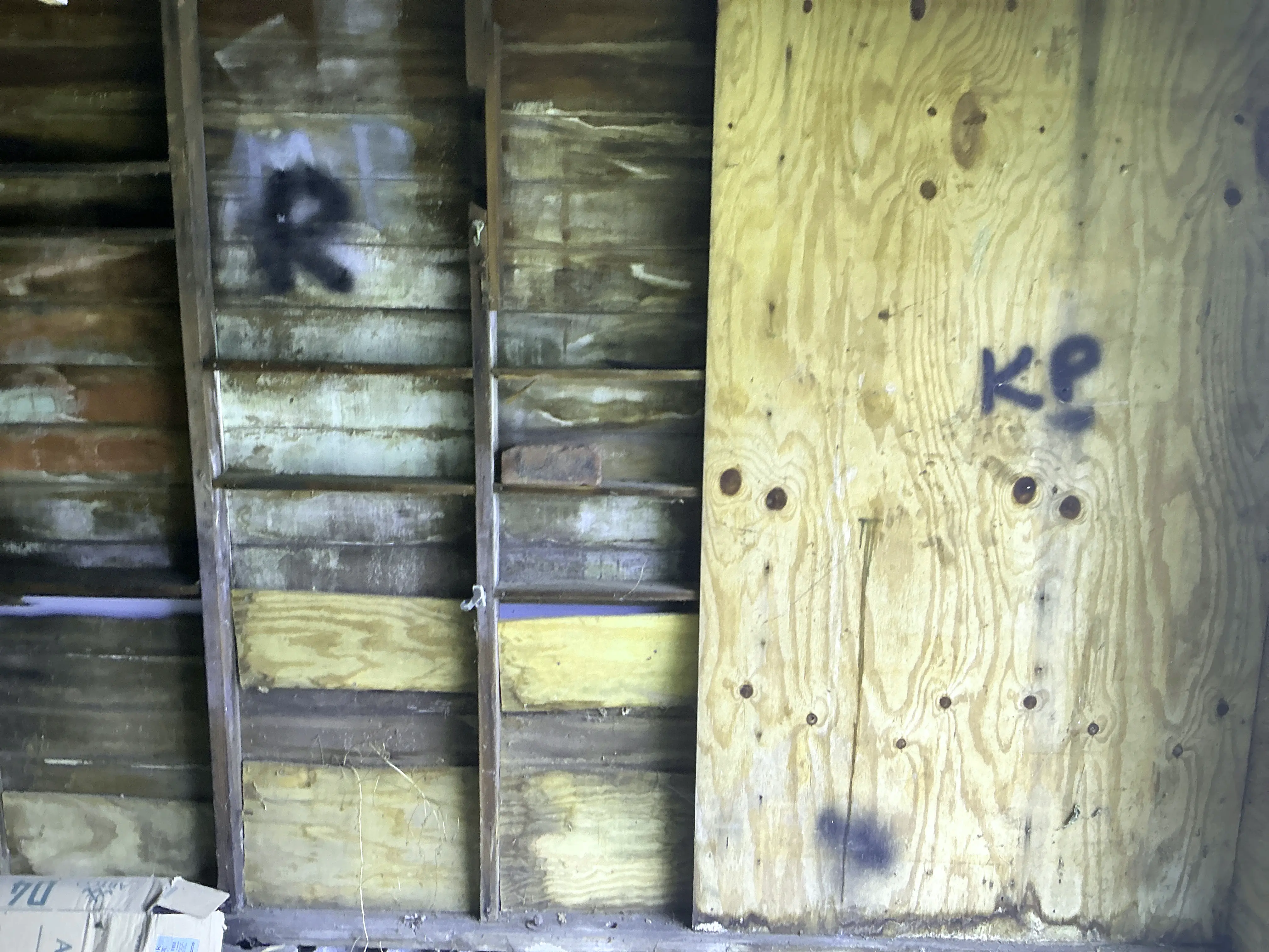 Exposed interior wall framing and plywood paneling during a home inspection 2026-07-20