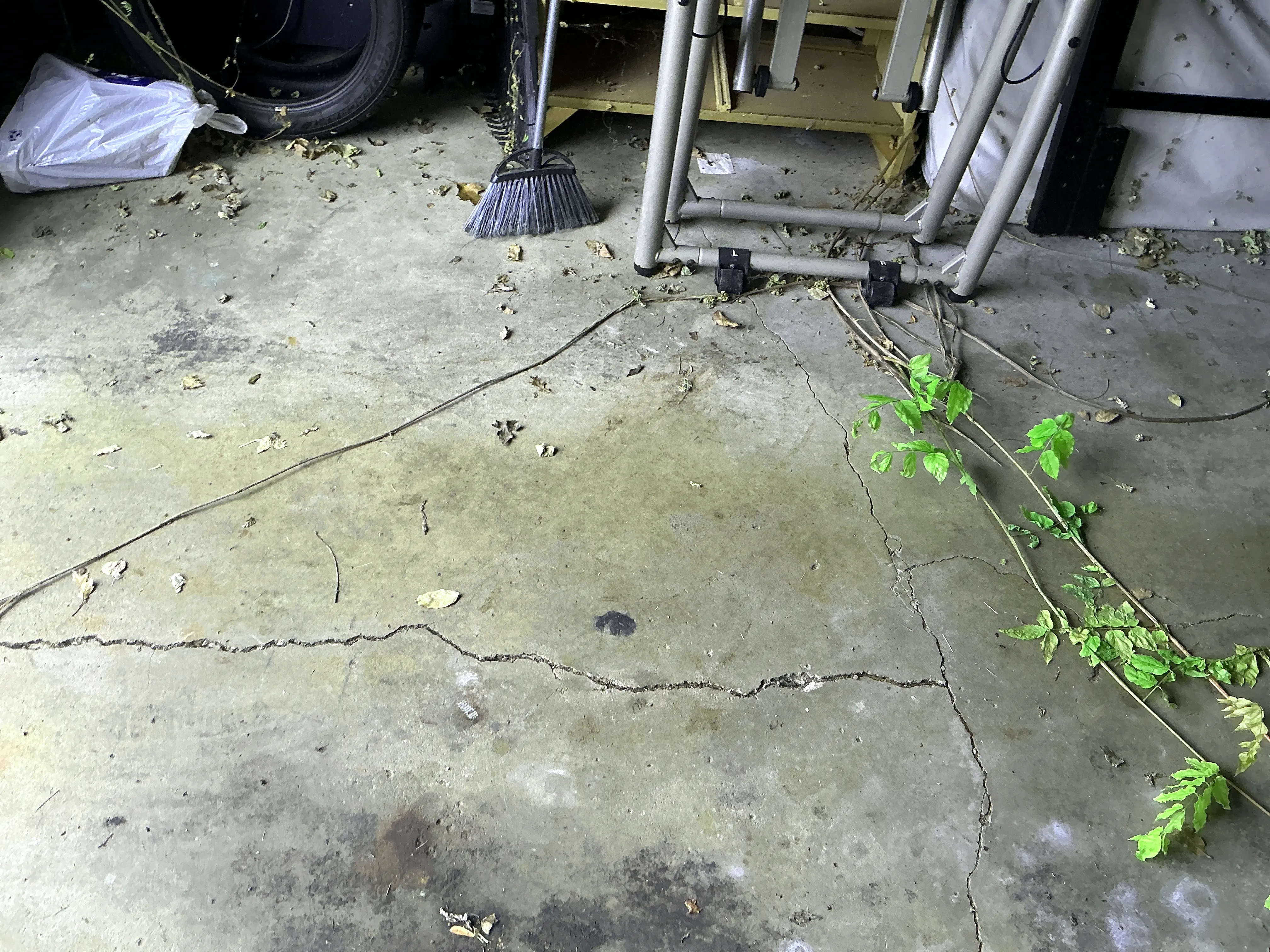 Cracked concrete garage floor observed during mold testing 2026-07-29