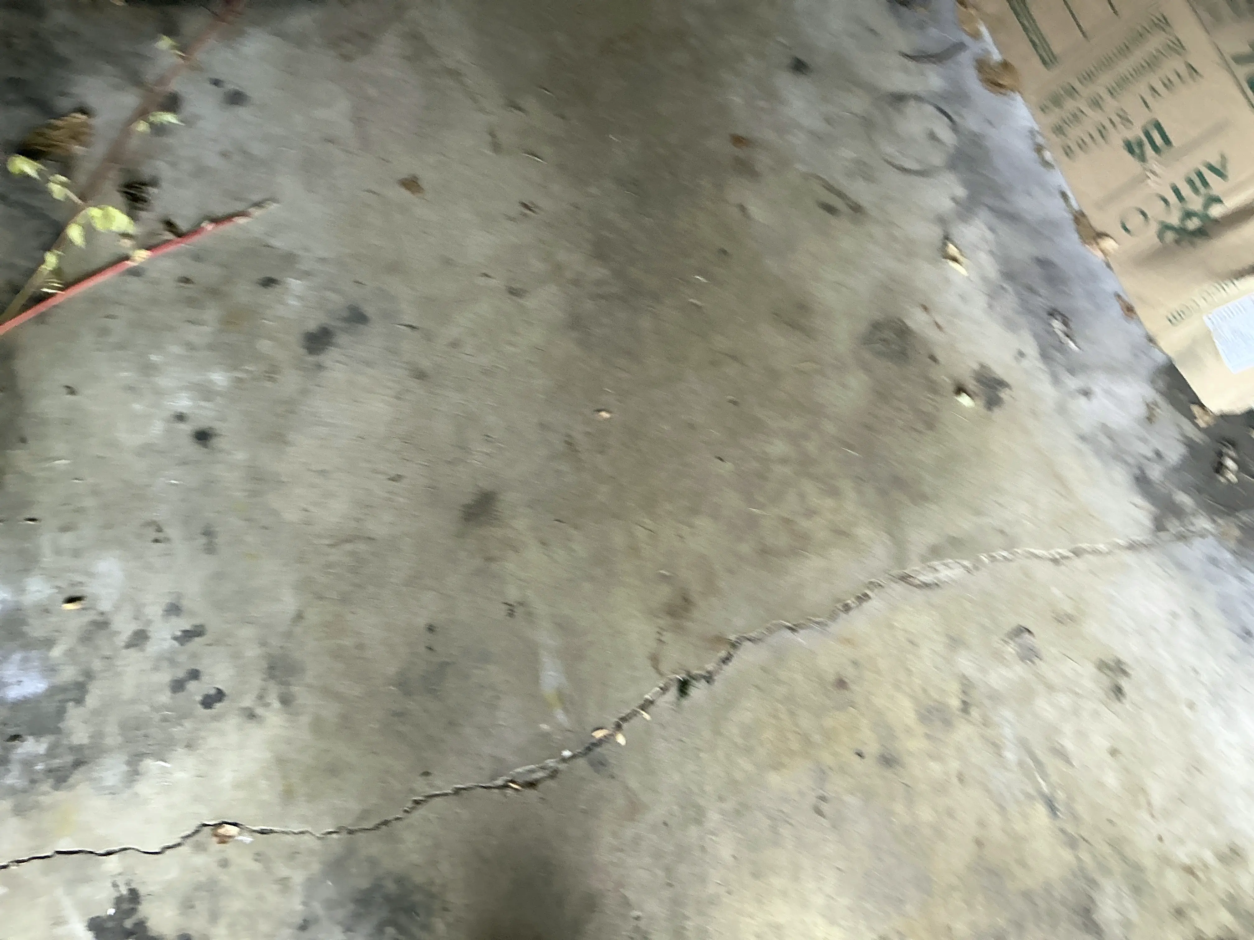 Large crack running across a concrete slab floor during a mold testing 2026-07-12