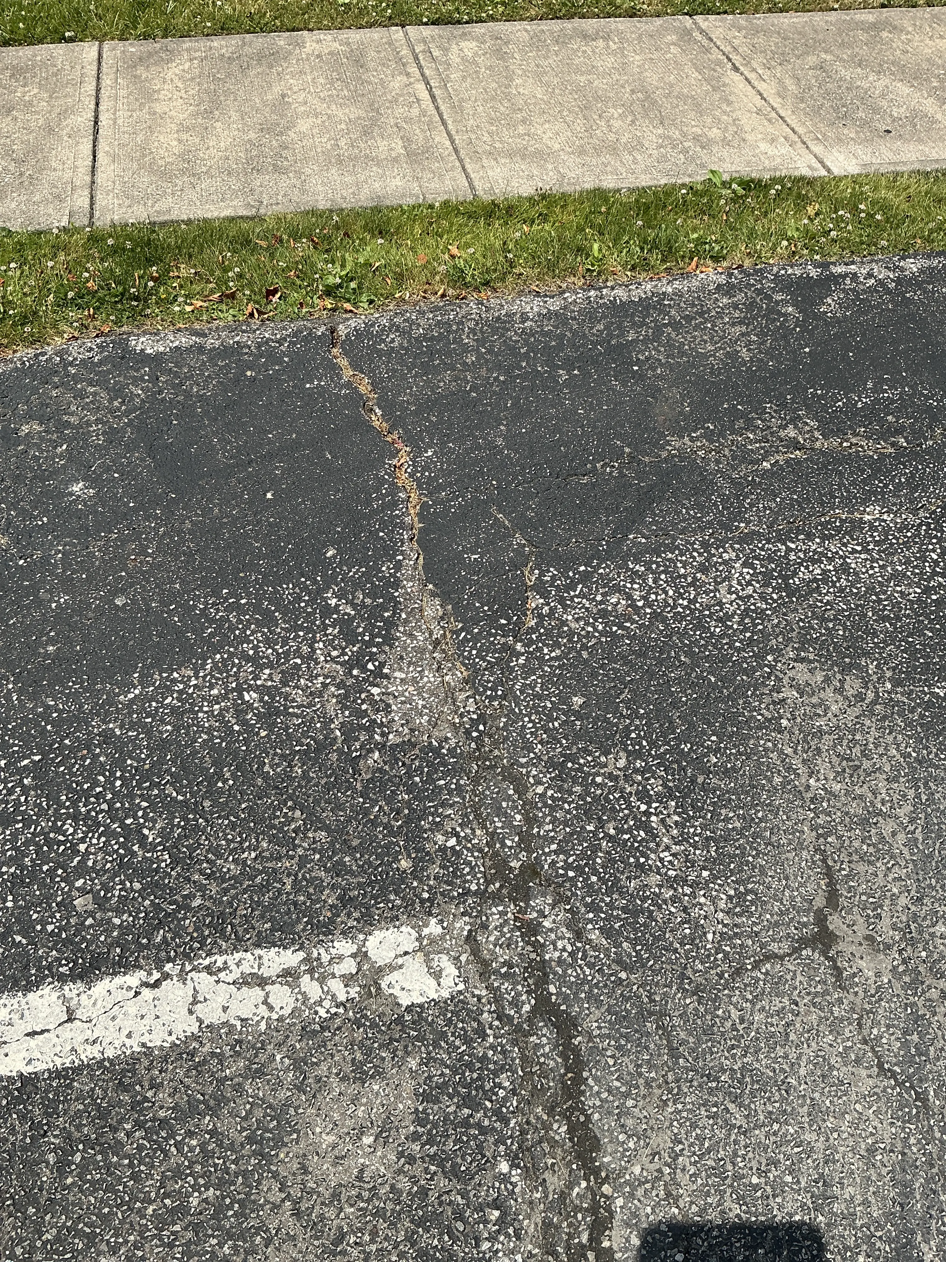 Cracked asphalt pavement near concrete sidewalk 2026-08-05