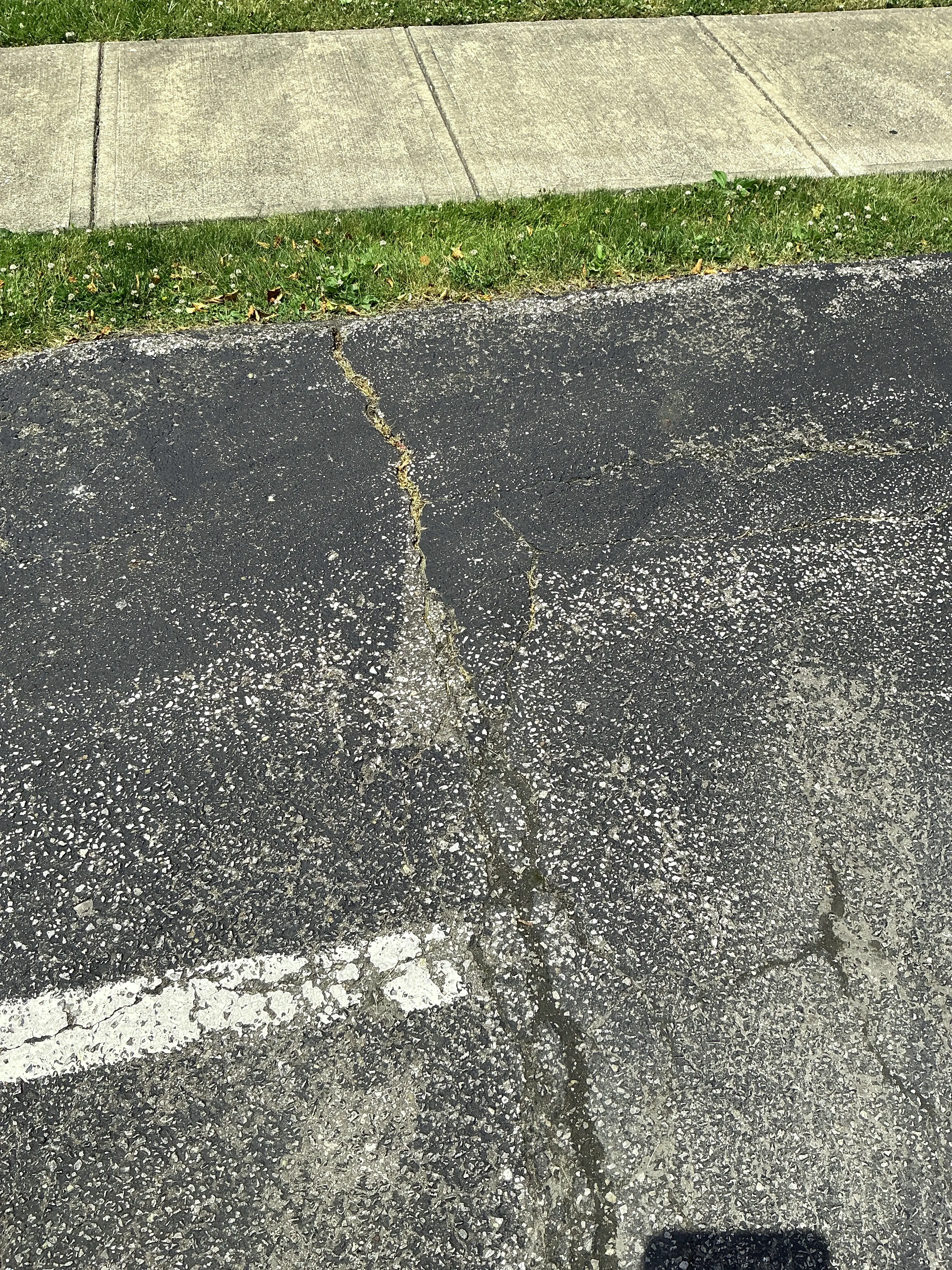 Cracked asphalt pavement near concrete sidewalk 2026-07-18