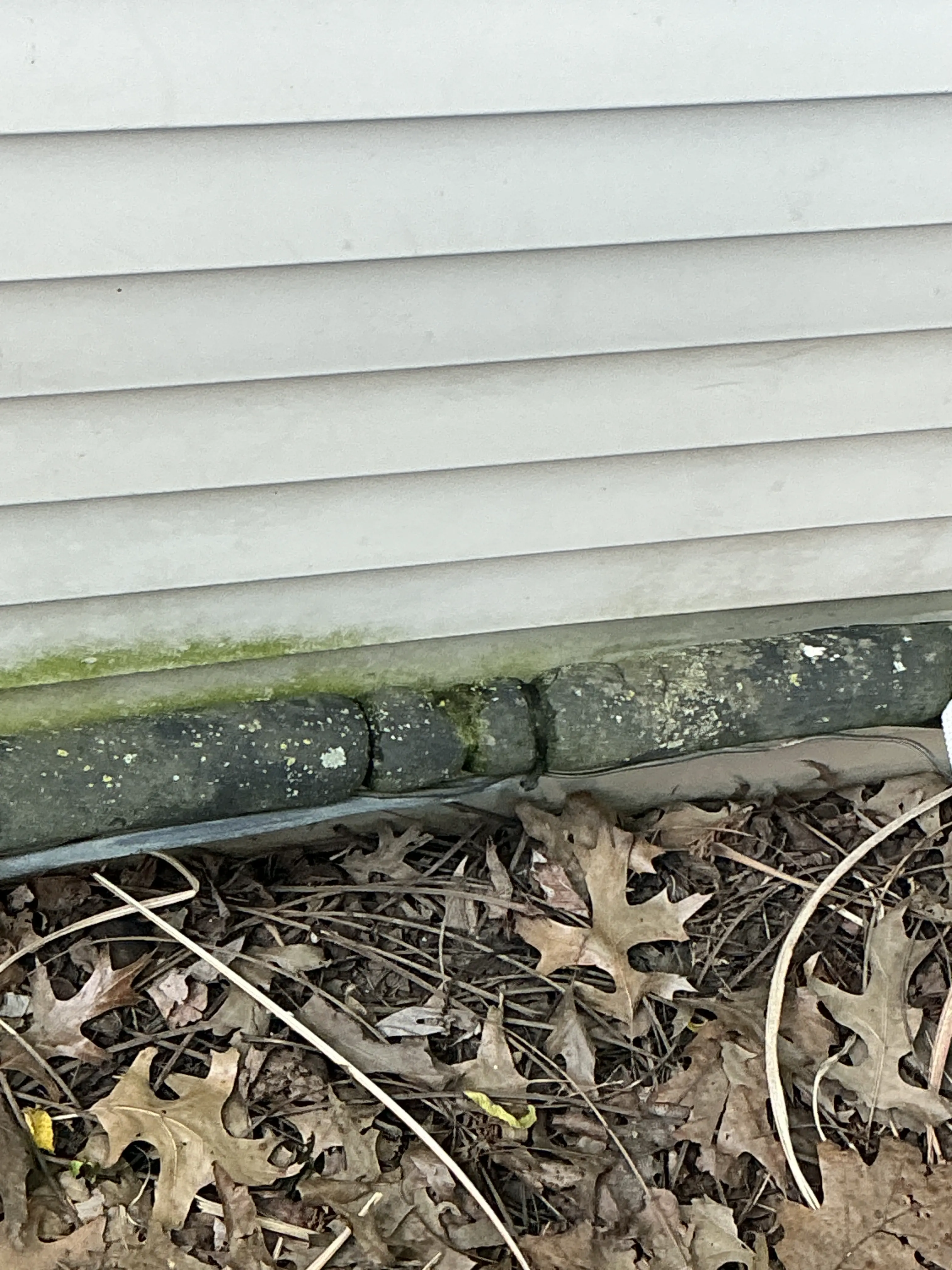 Moss and leaf debris build-up along the base of exterior home siding 2026-07-10
