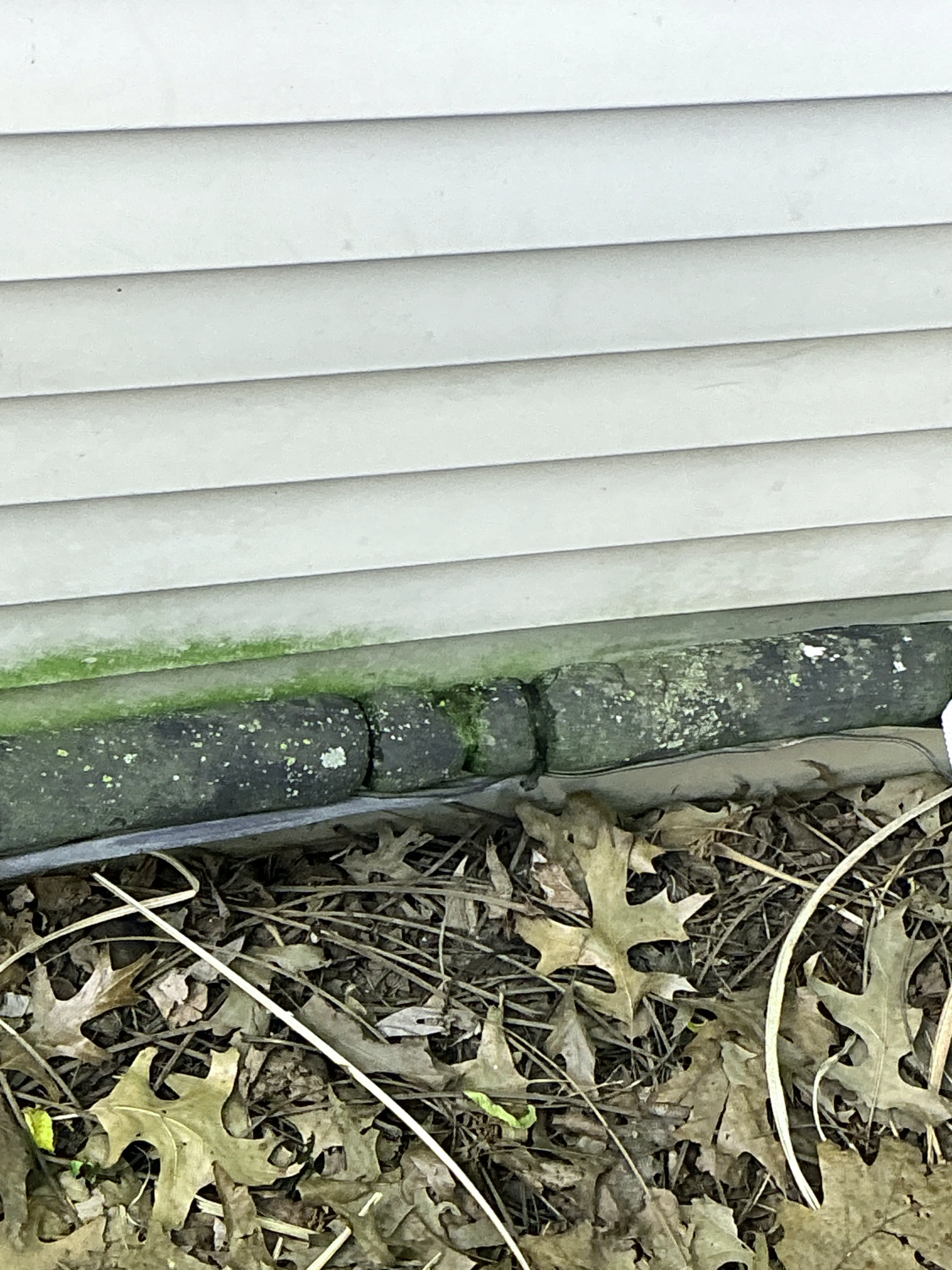 Moss and leaf debris build-up along the base of exterior home siding 2026-08-10