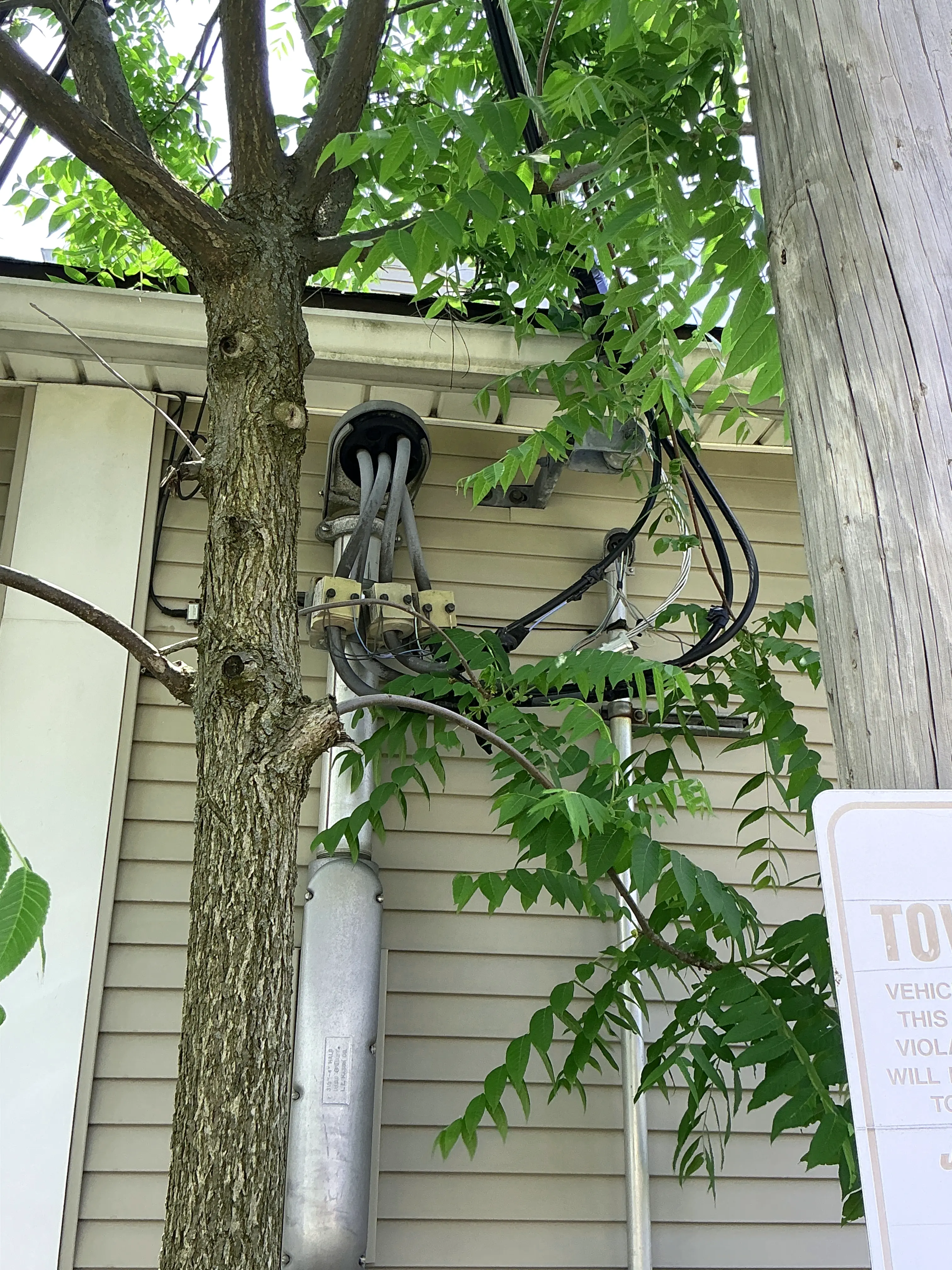 Tree branches contacting electrical service entrance wires and conduit on building siding 2026-07-13