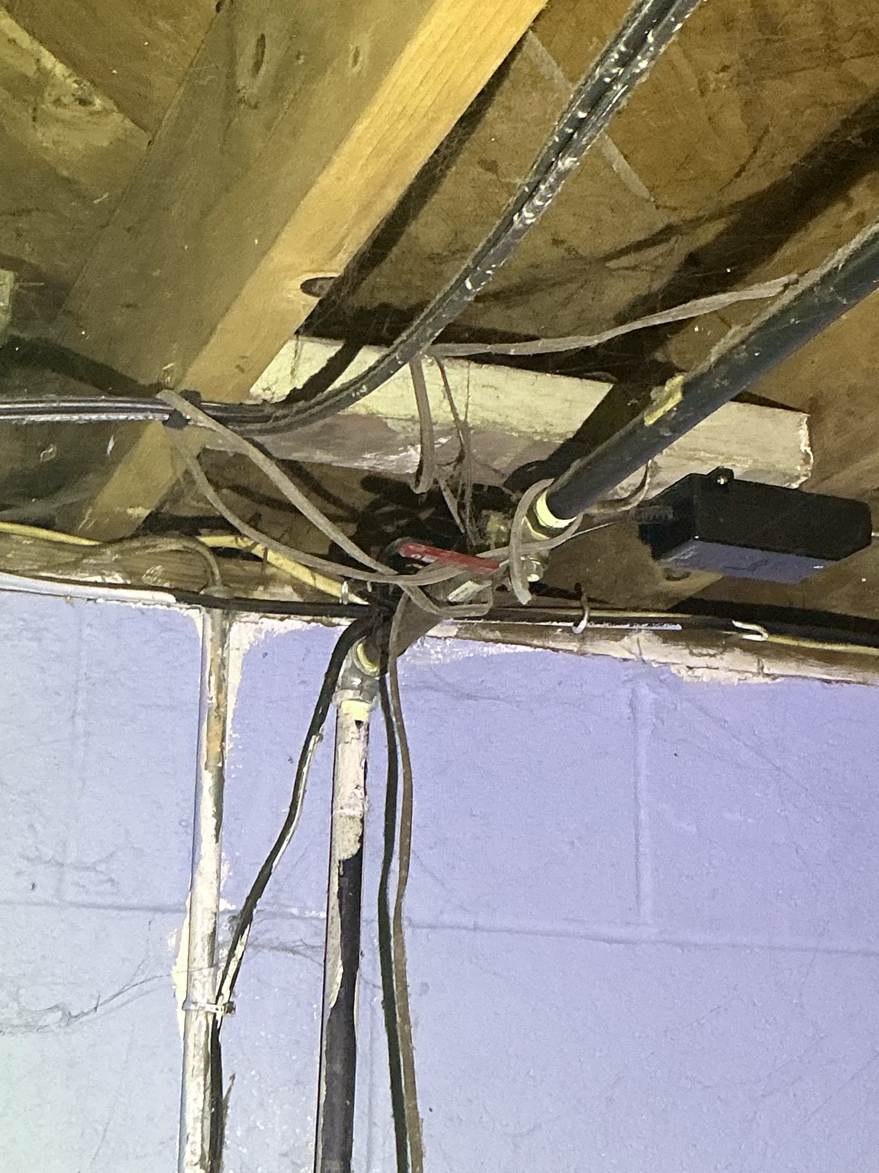 Tangled electrical wiring and plumbing pipes running along floor joists 2026-07-30