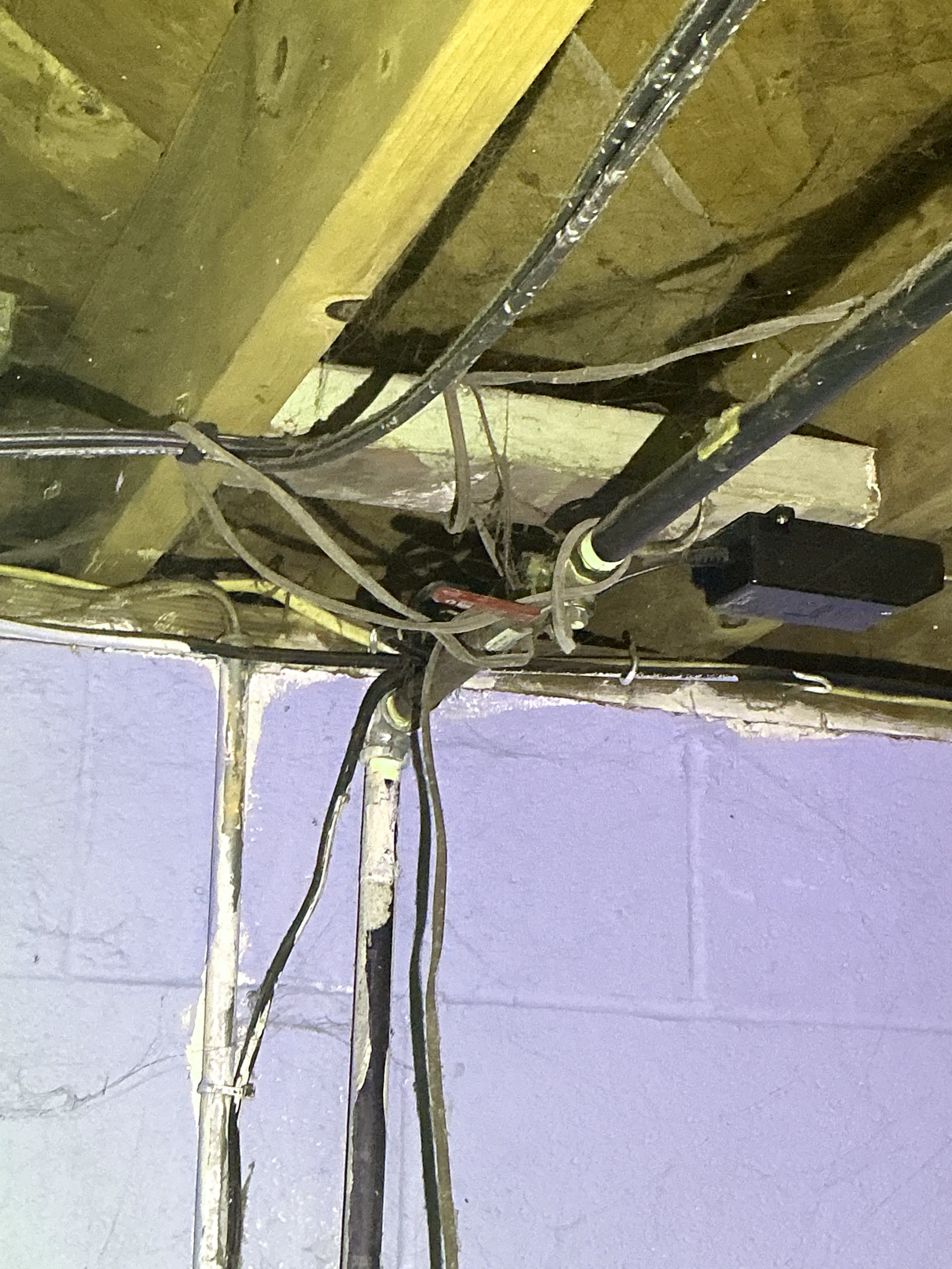 Tangled electrical wiring and plumbing pipes running along floor joists 2026-08-05