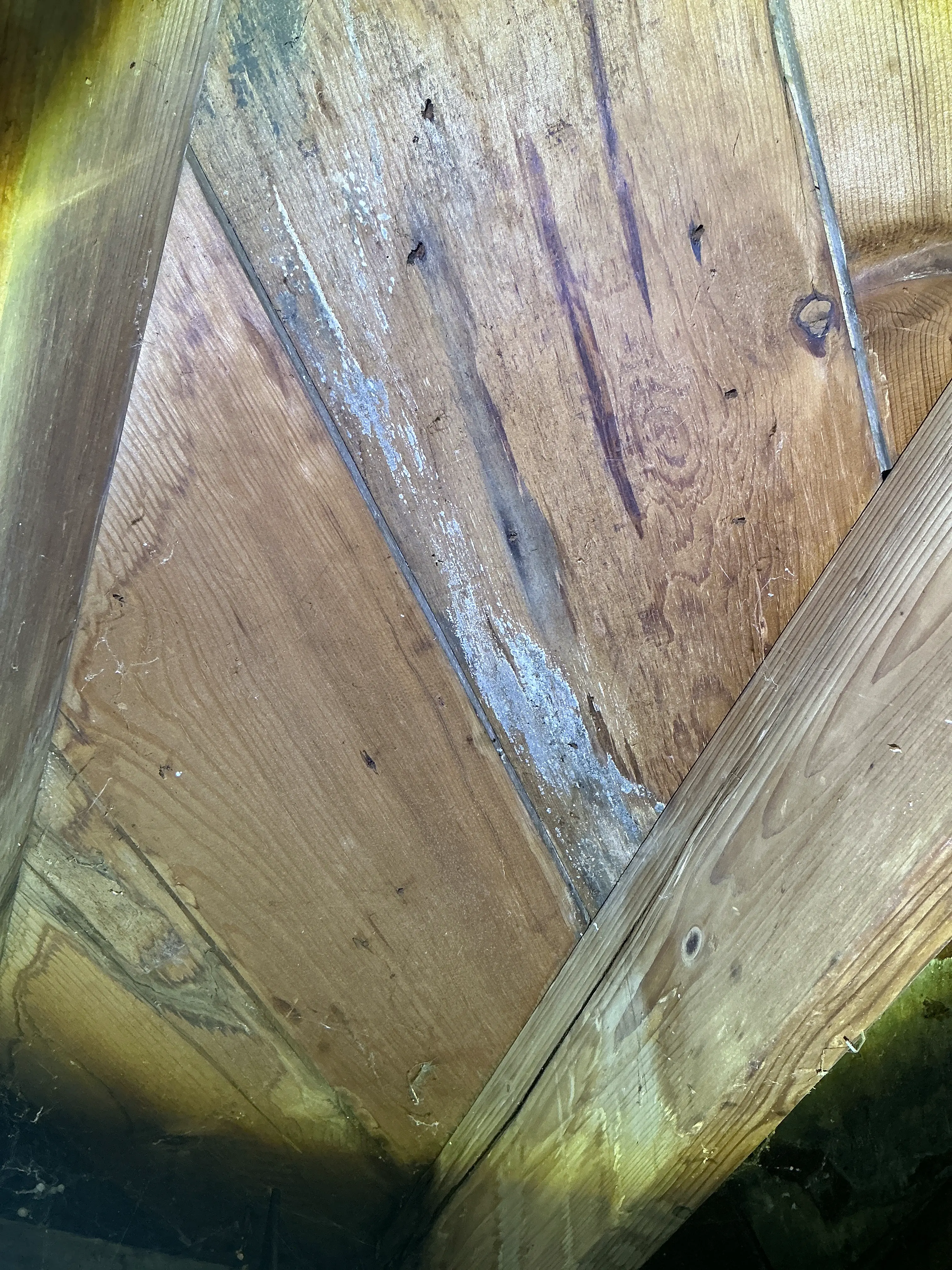 White mold growth on wooden attic roof decking 2026-07-17