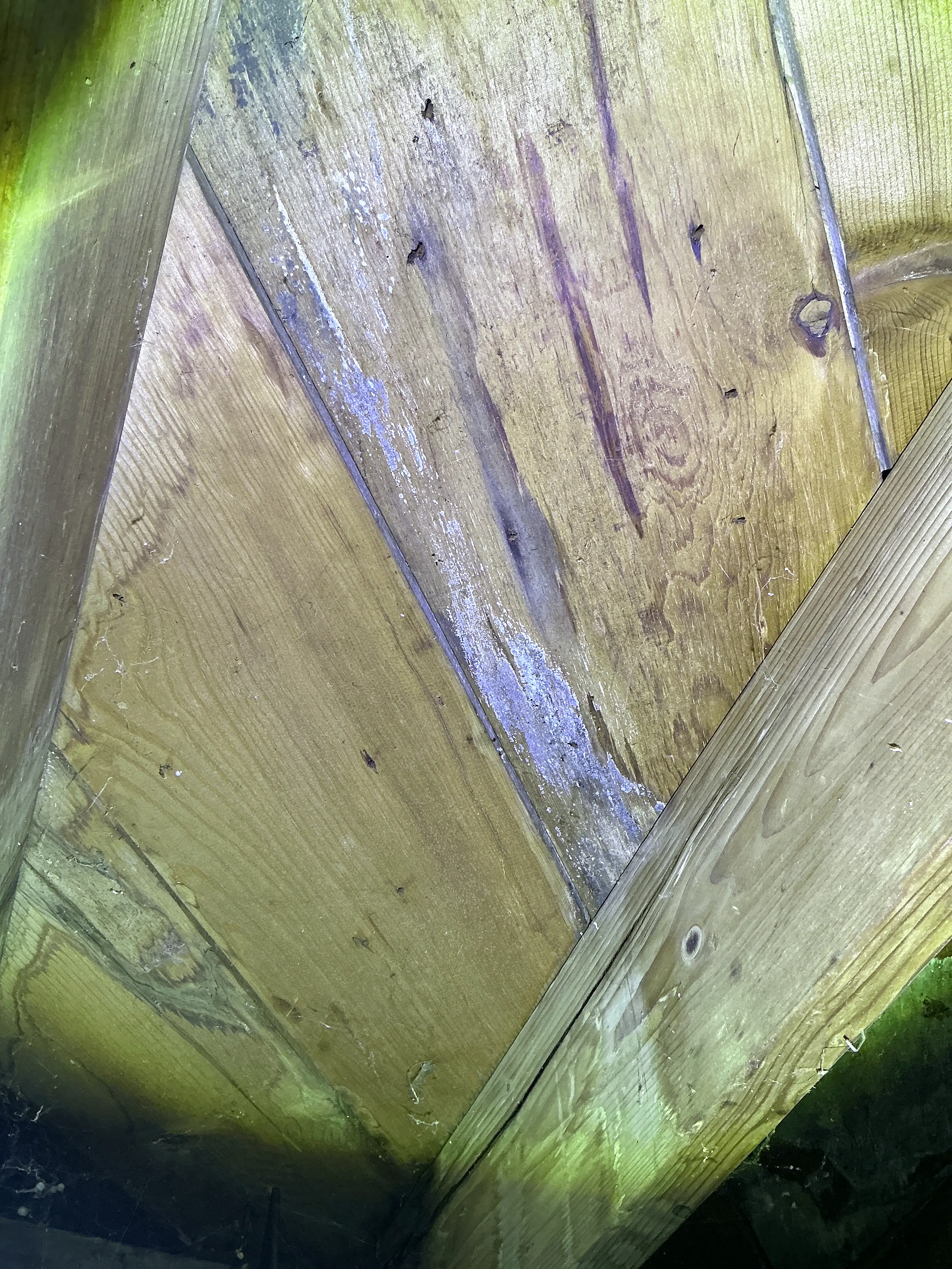 White mold growth on wooden attic roof decking 2026-07-16