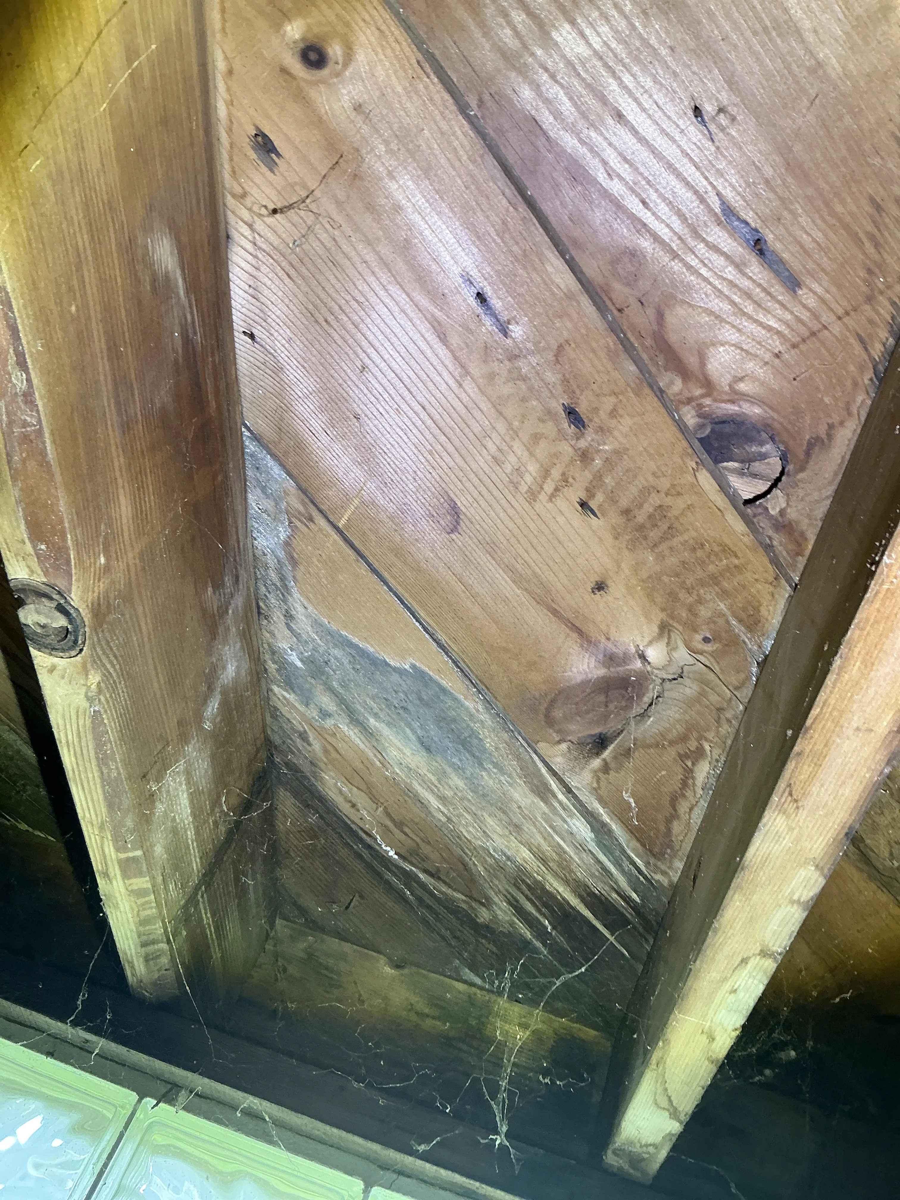 Water staining and wood decay on subfloor sheathing viewed during a home inspection 2026-07-24