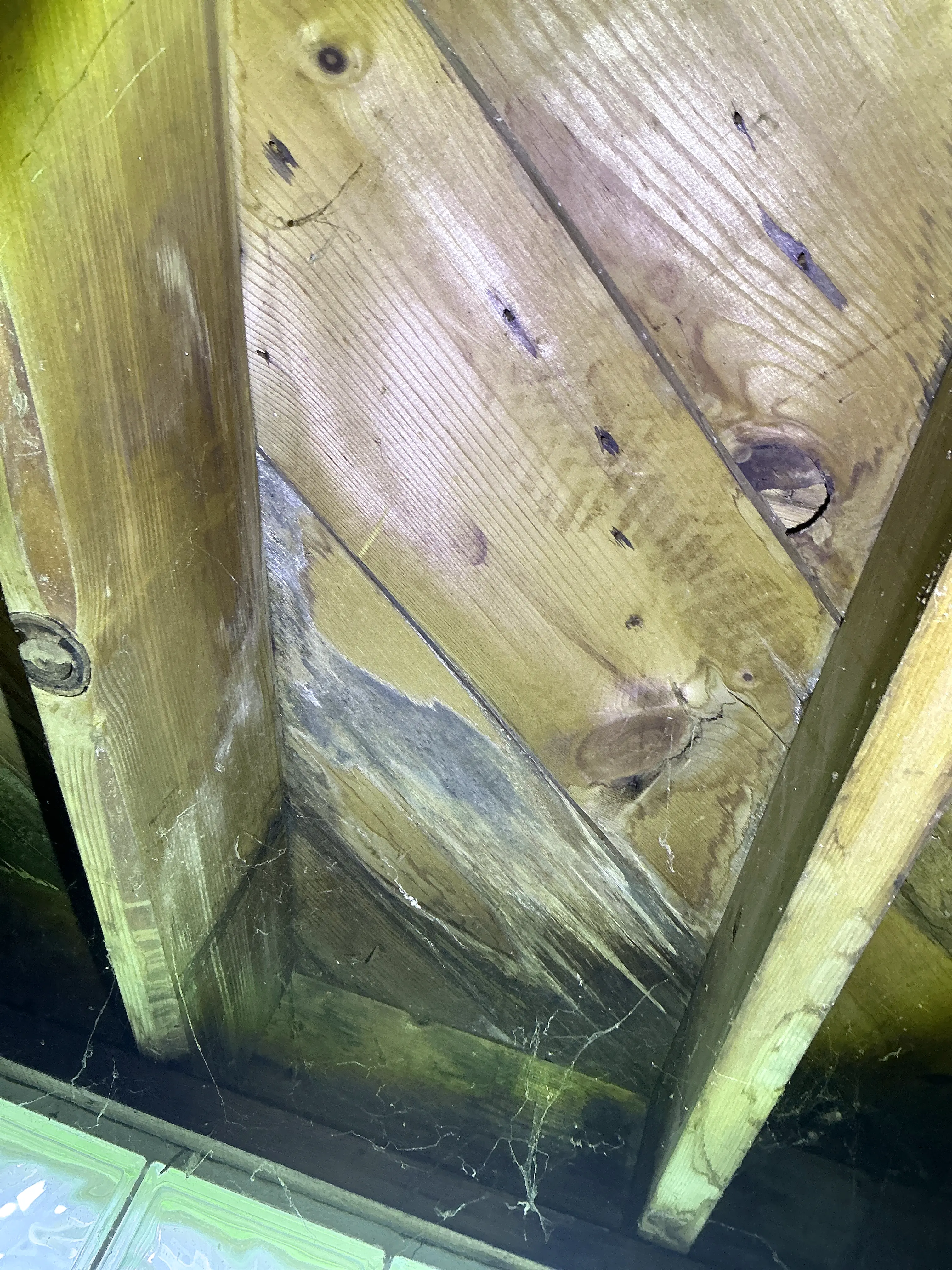 Water staining and wood decay on subfloor sheathing viewed during a mold testing 2026-08-27