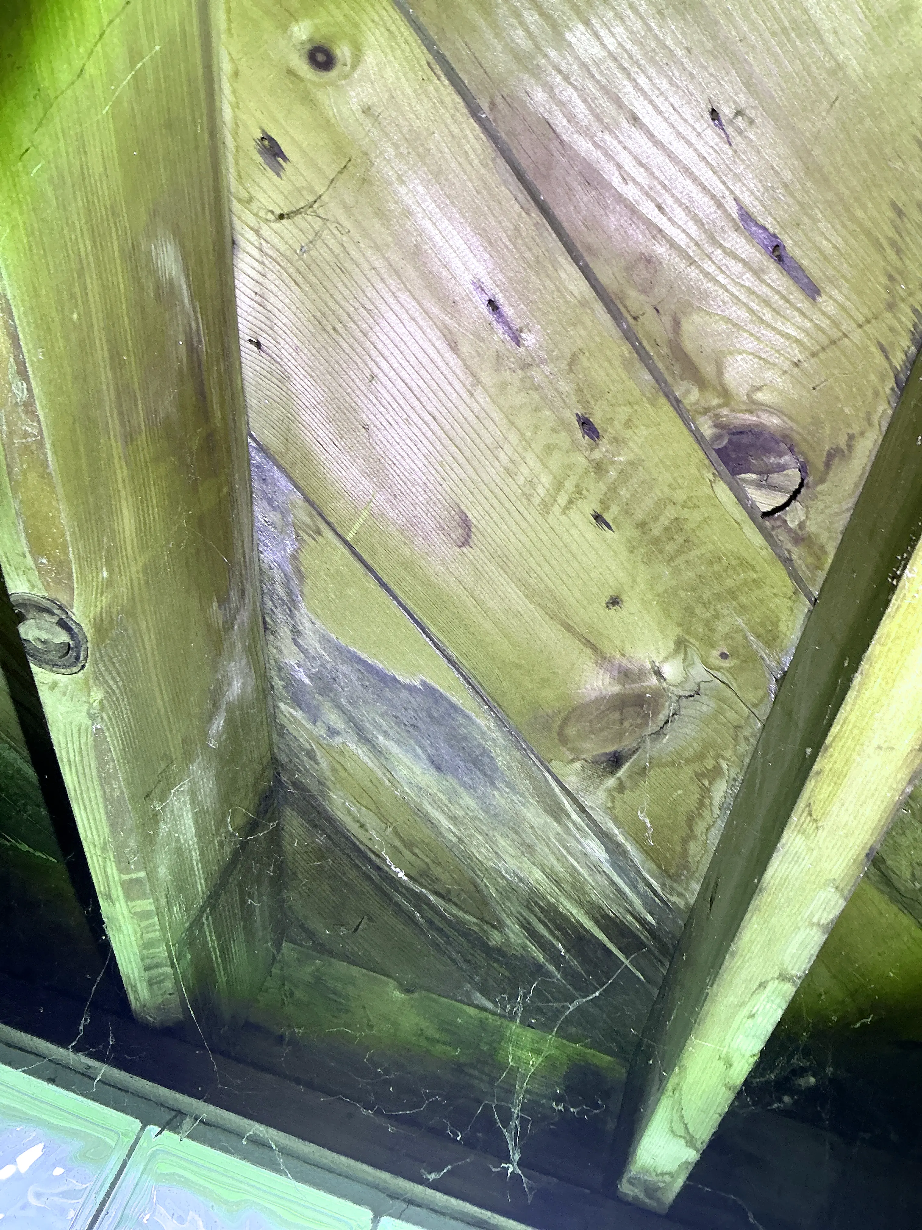 Water staining and wood decay on subfloor sheathing viewed during a home inspection 2026-08-20