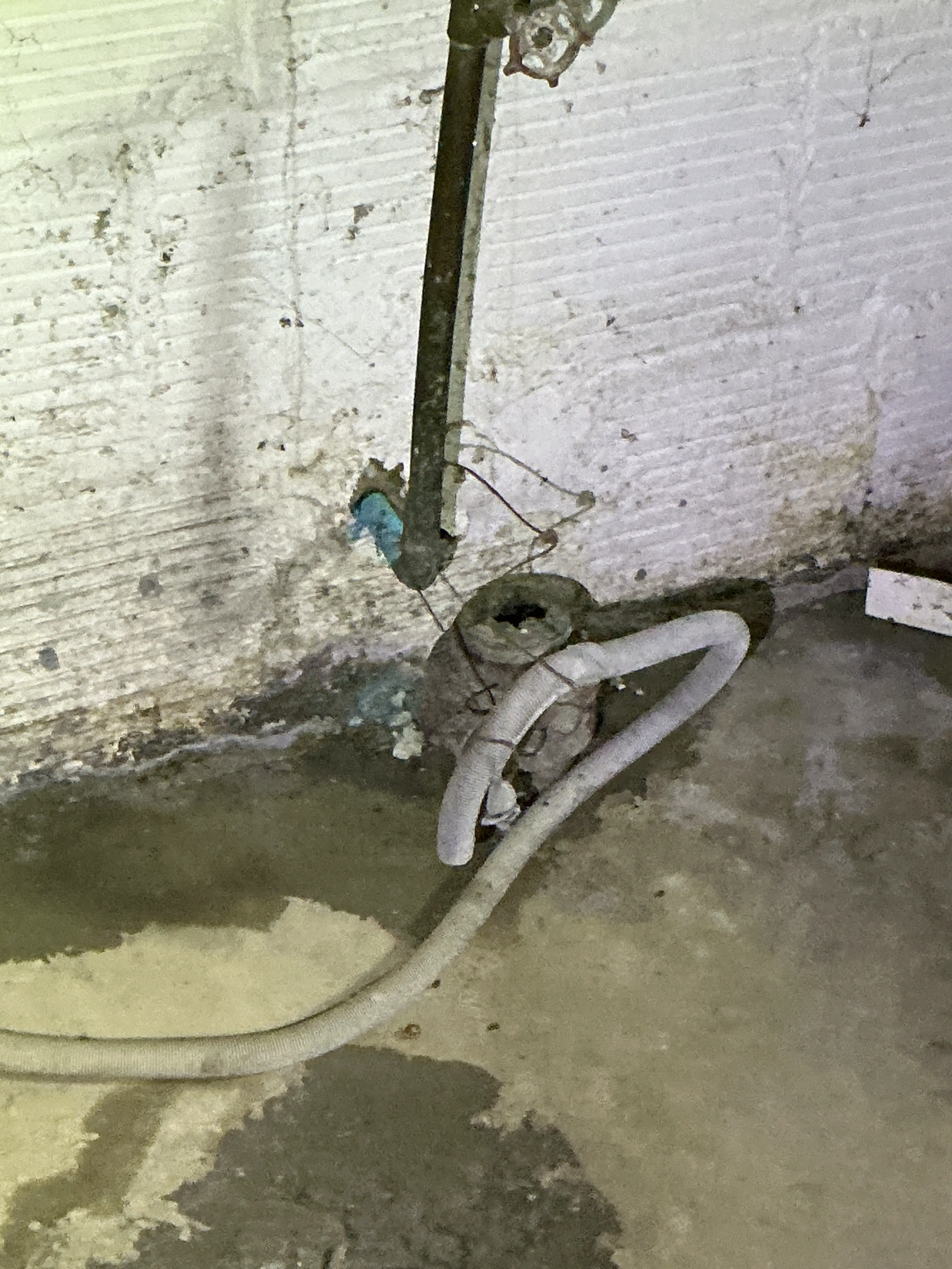 Corroded plumbing pipe penetration and flexible drain hose near basement wall 2026-08-03