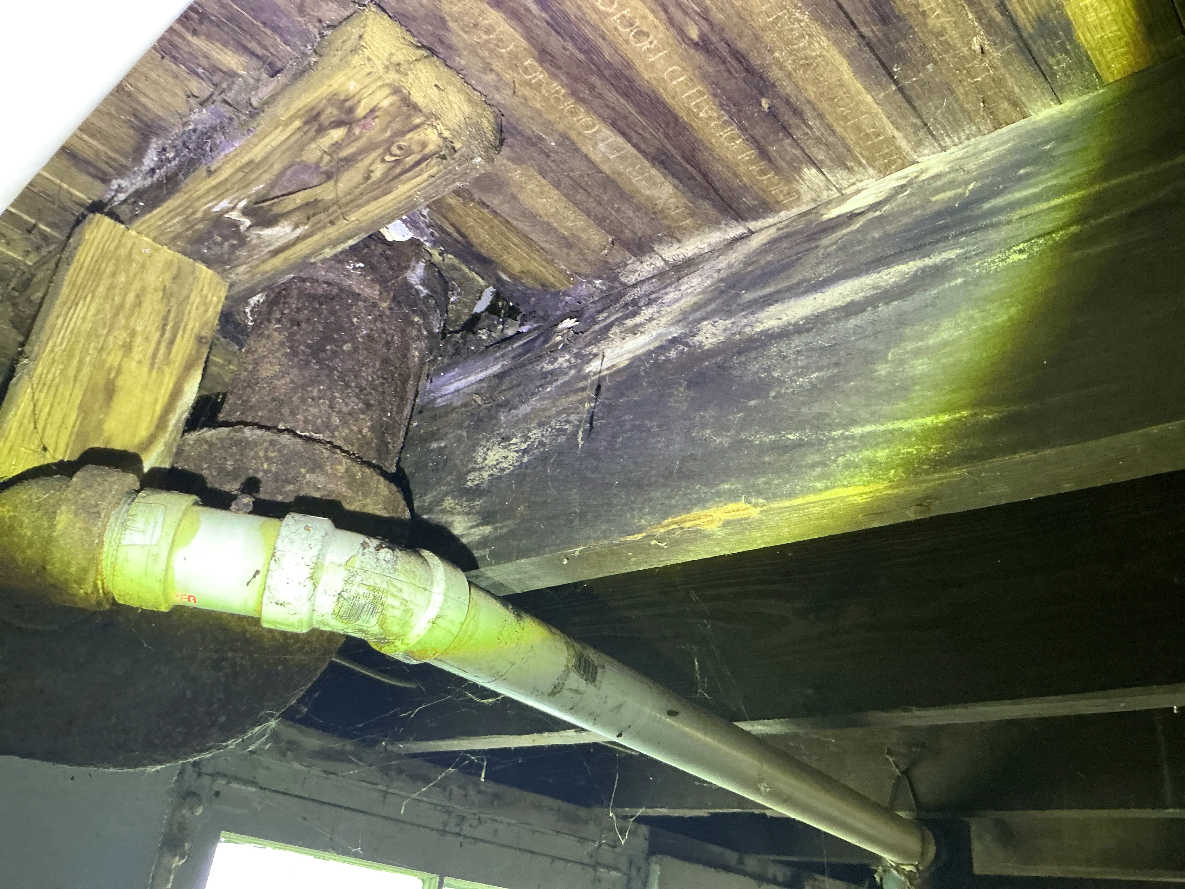 Rusted cast iron waste pipe and PVC drain line beneath moisture-damaged subfloor framing. 2026-08-11