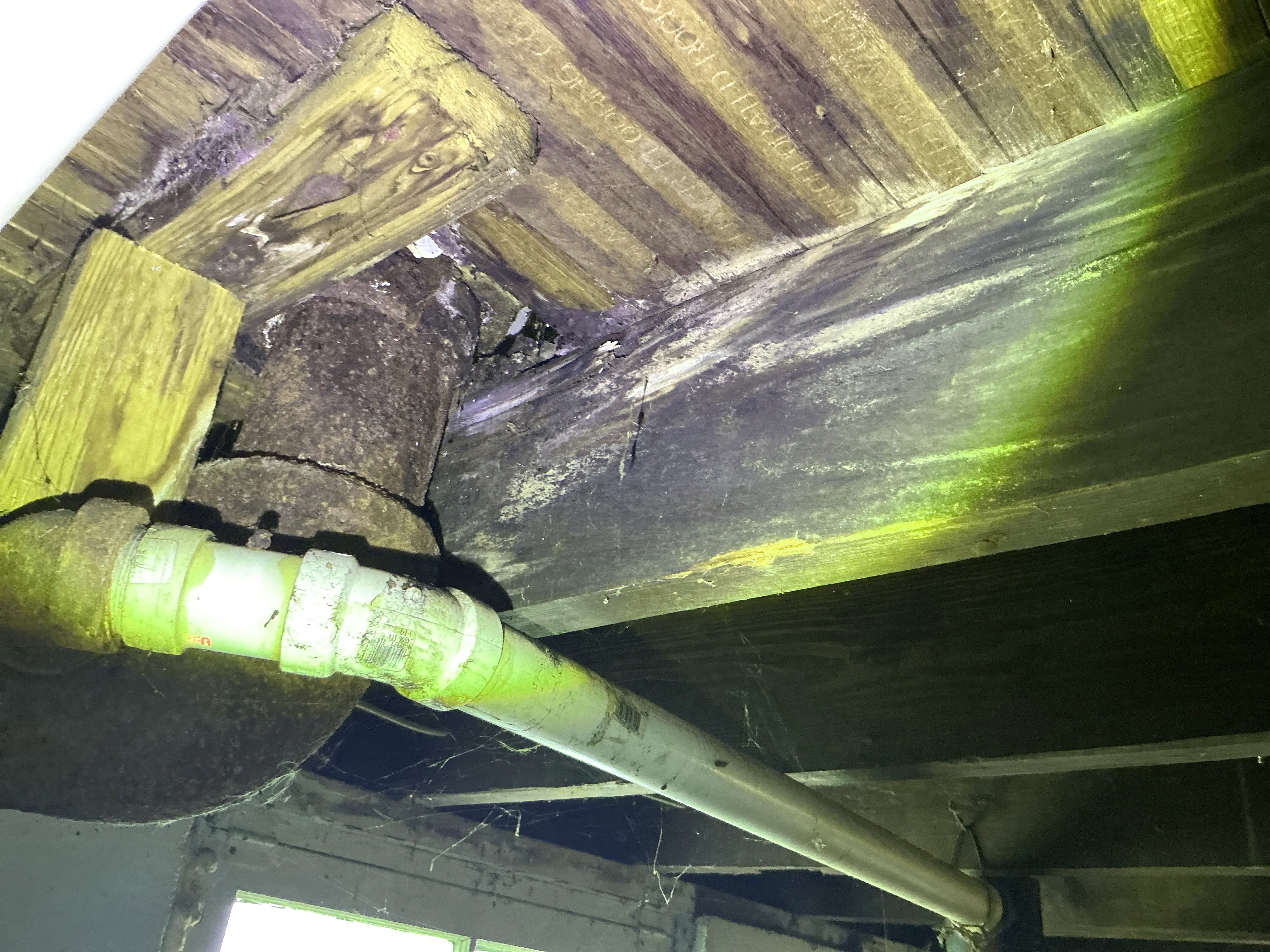 Rusted cast iron waste pipe and PVC drain line beneath moisture-damaged subfloor framing. 2026-08-10