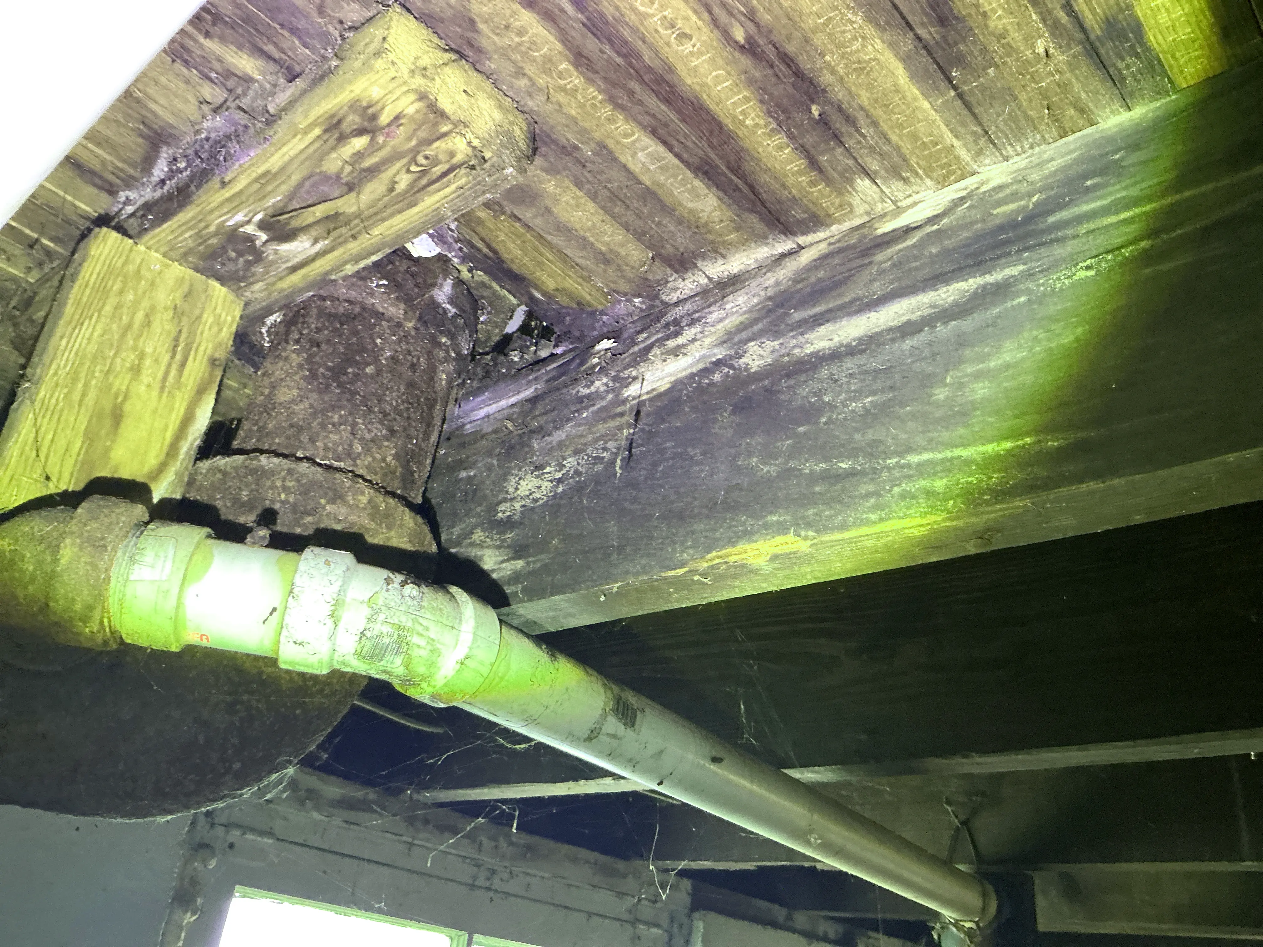 Rusted cast iron waste pipe and PVC drain line beneath moisture-damaged subfloor framing. 2026-08-14