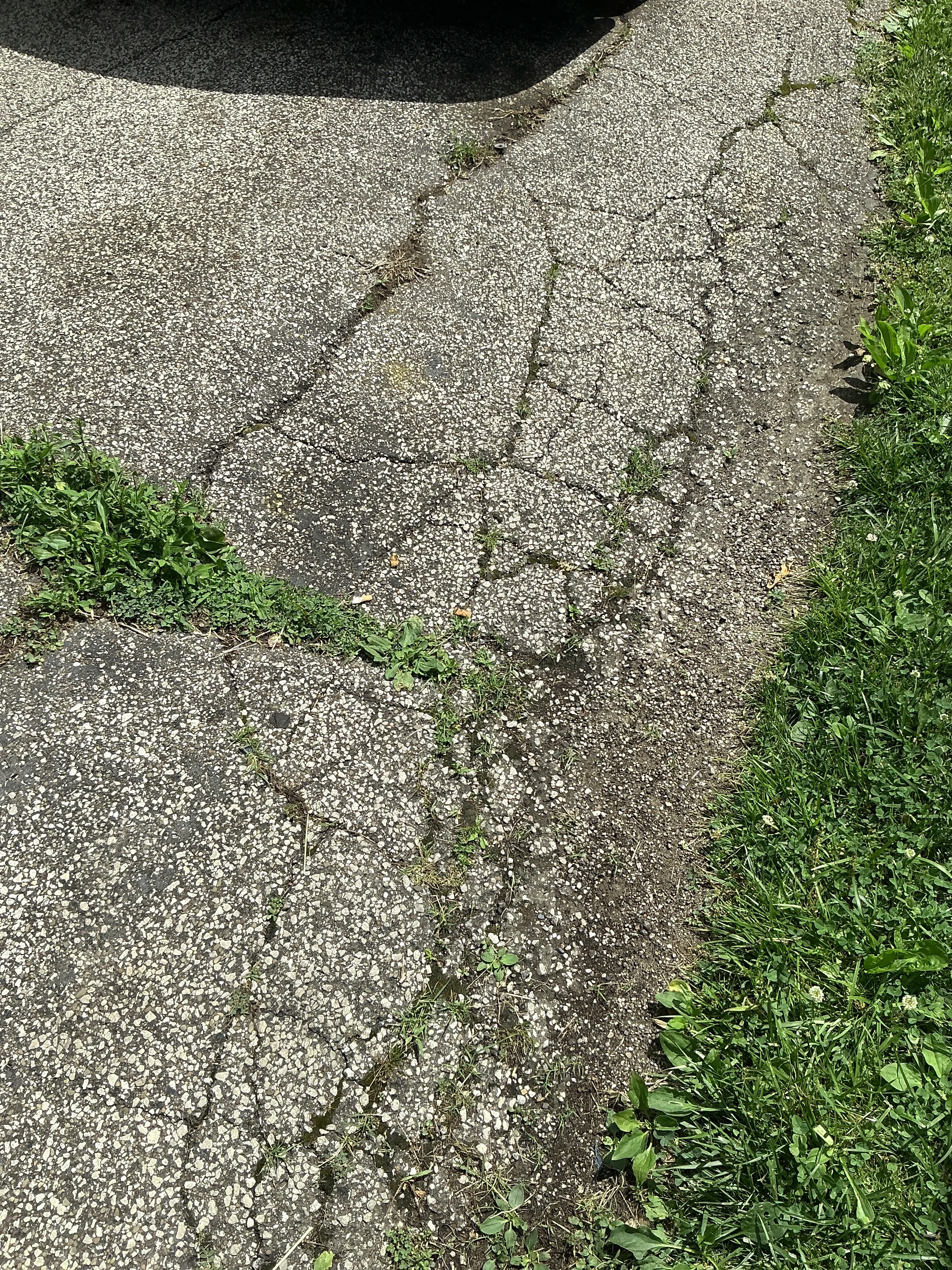 Extensive alligator cracking and weeds growing in damaged asphalt pavement 2026-08-07