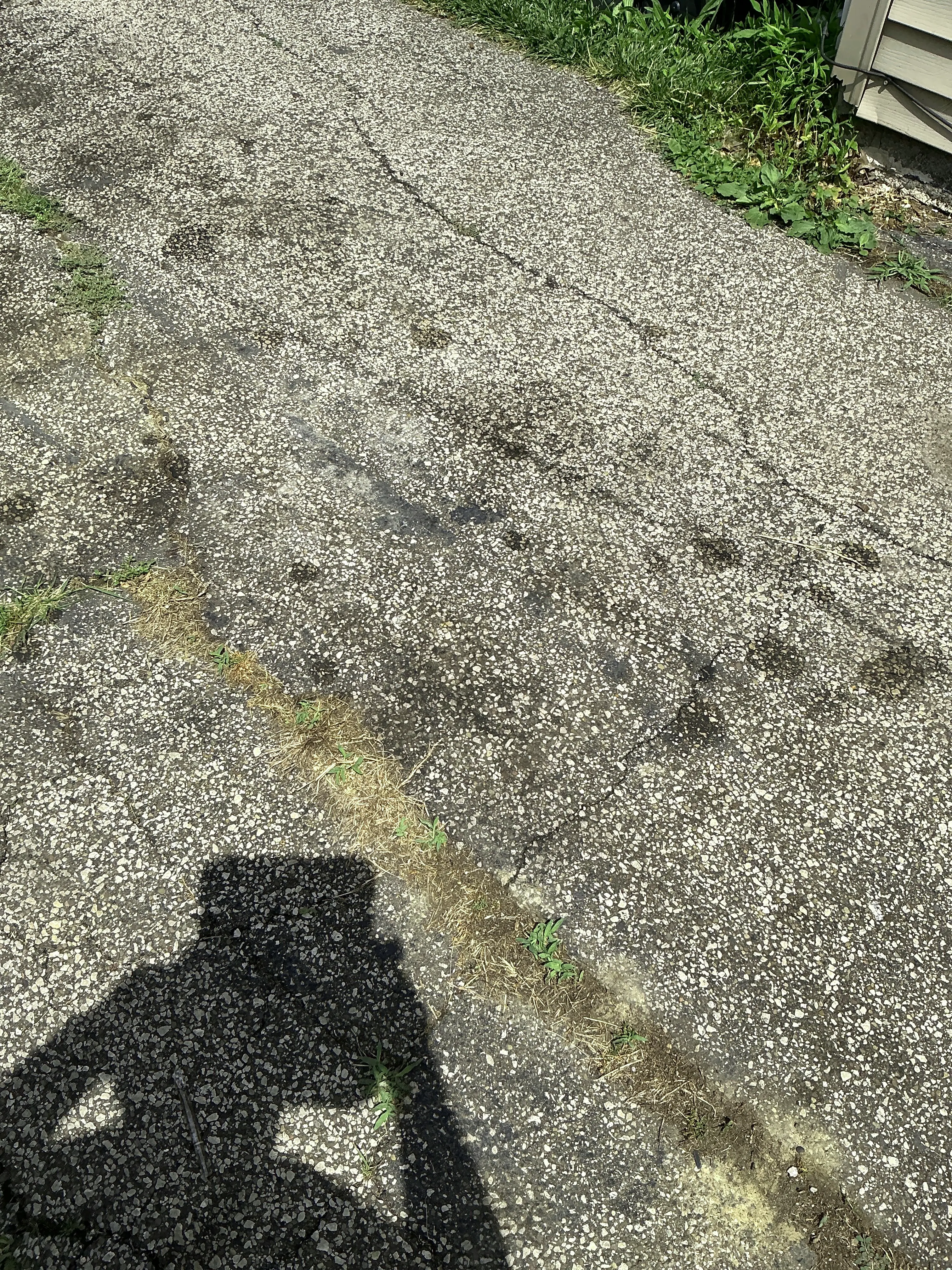 Cracks and weed growth in an asphalt driveway pavement 2026-07-09