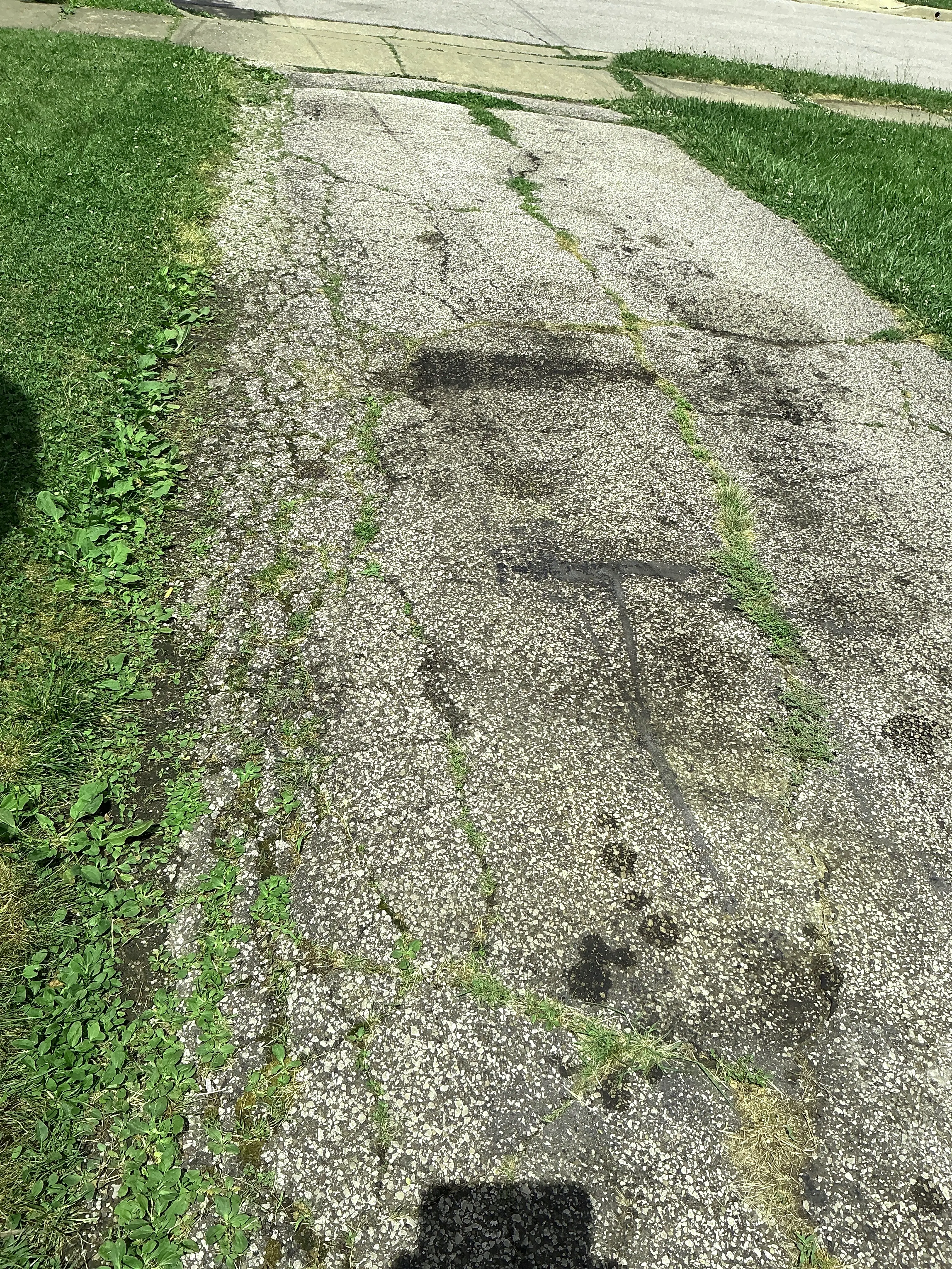 Deteriorated asphalt driveway with cracks and weeds growing through paving 2026-08-23