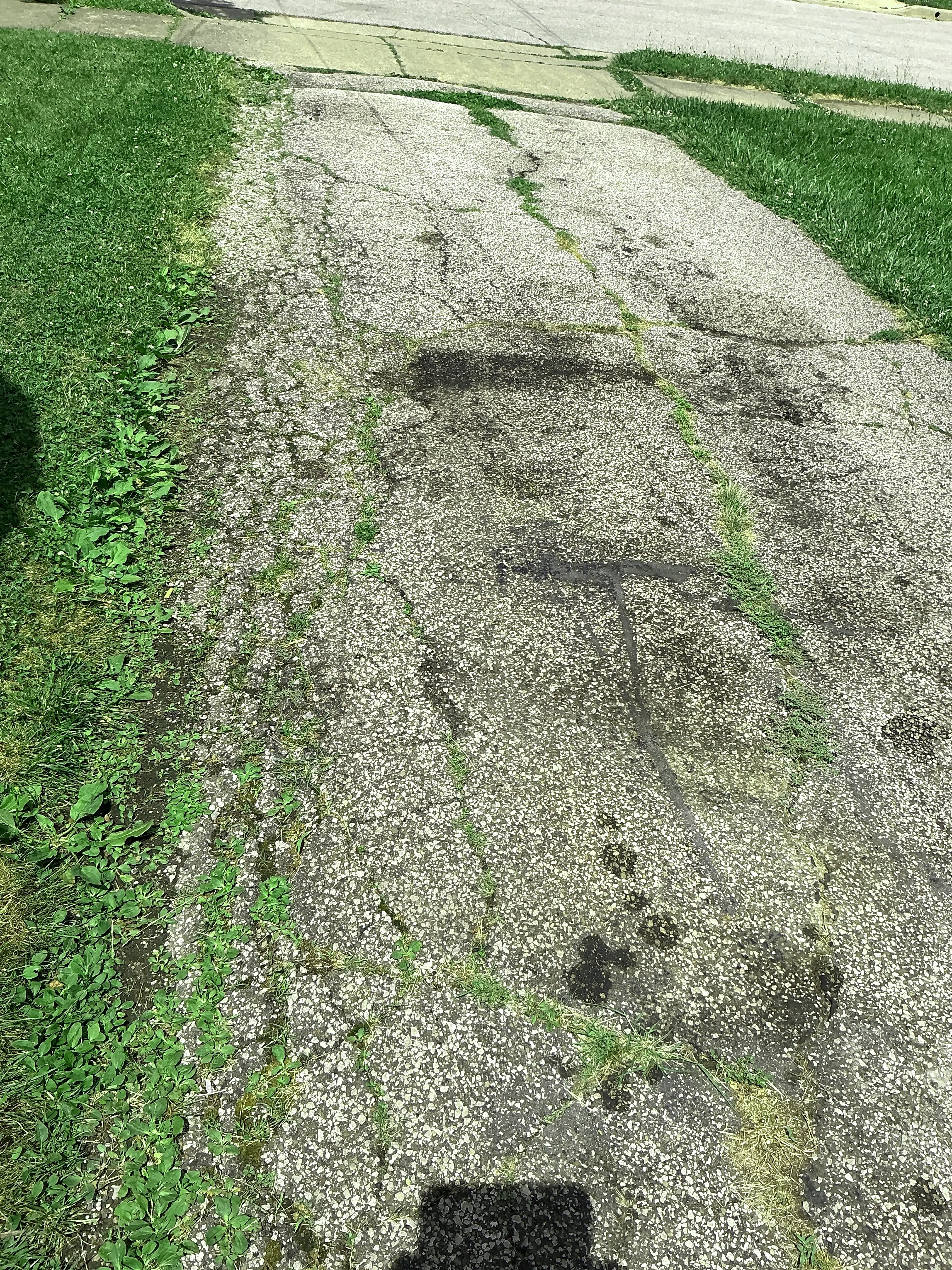 Deteriorated asphalt driveway with cracks and weeds growing through paving 2026-08-24