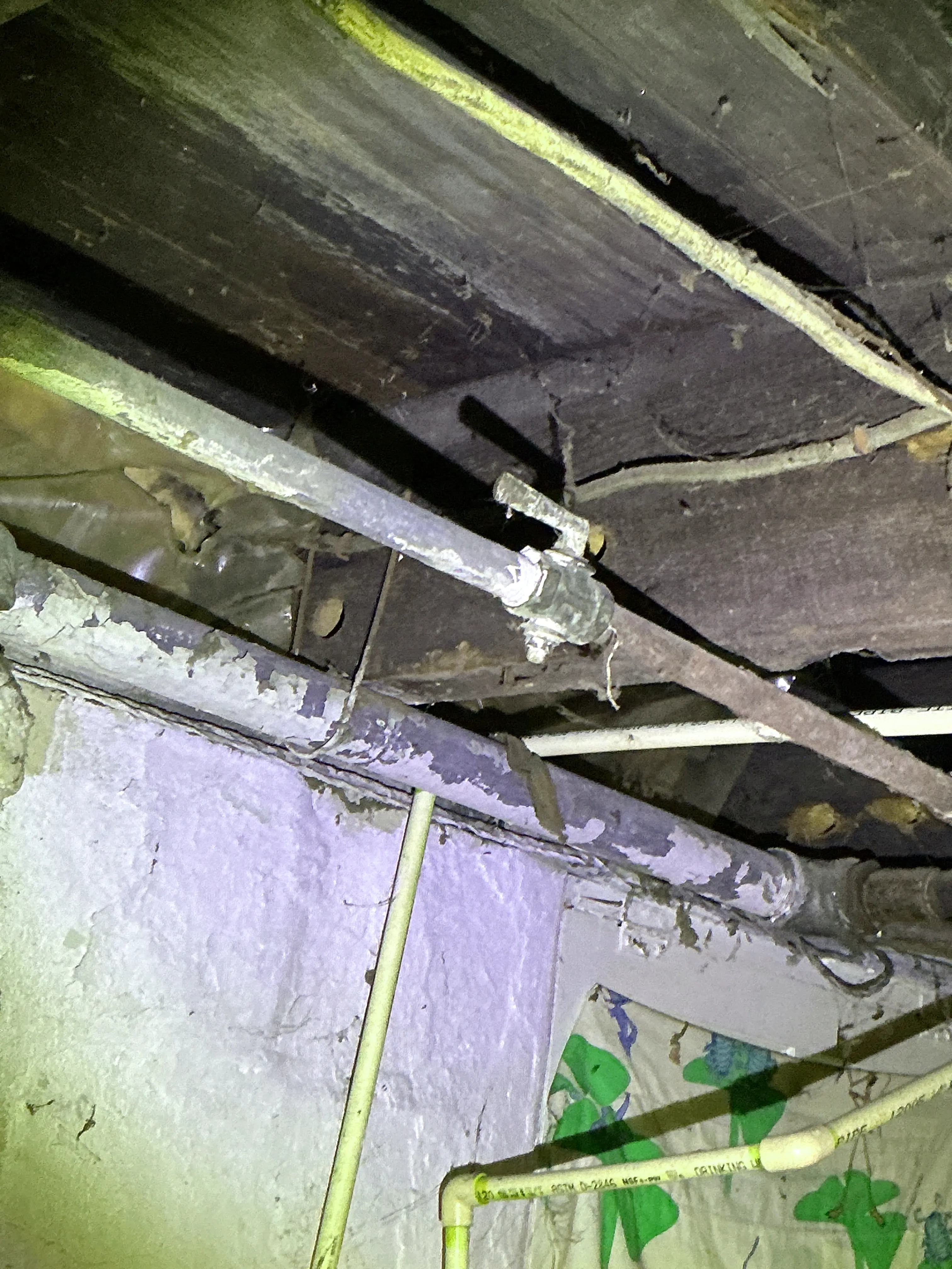 Corroded metal pipes and CPVC plumbing lines in crawl space 2026-08-29