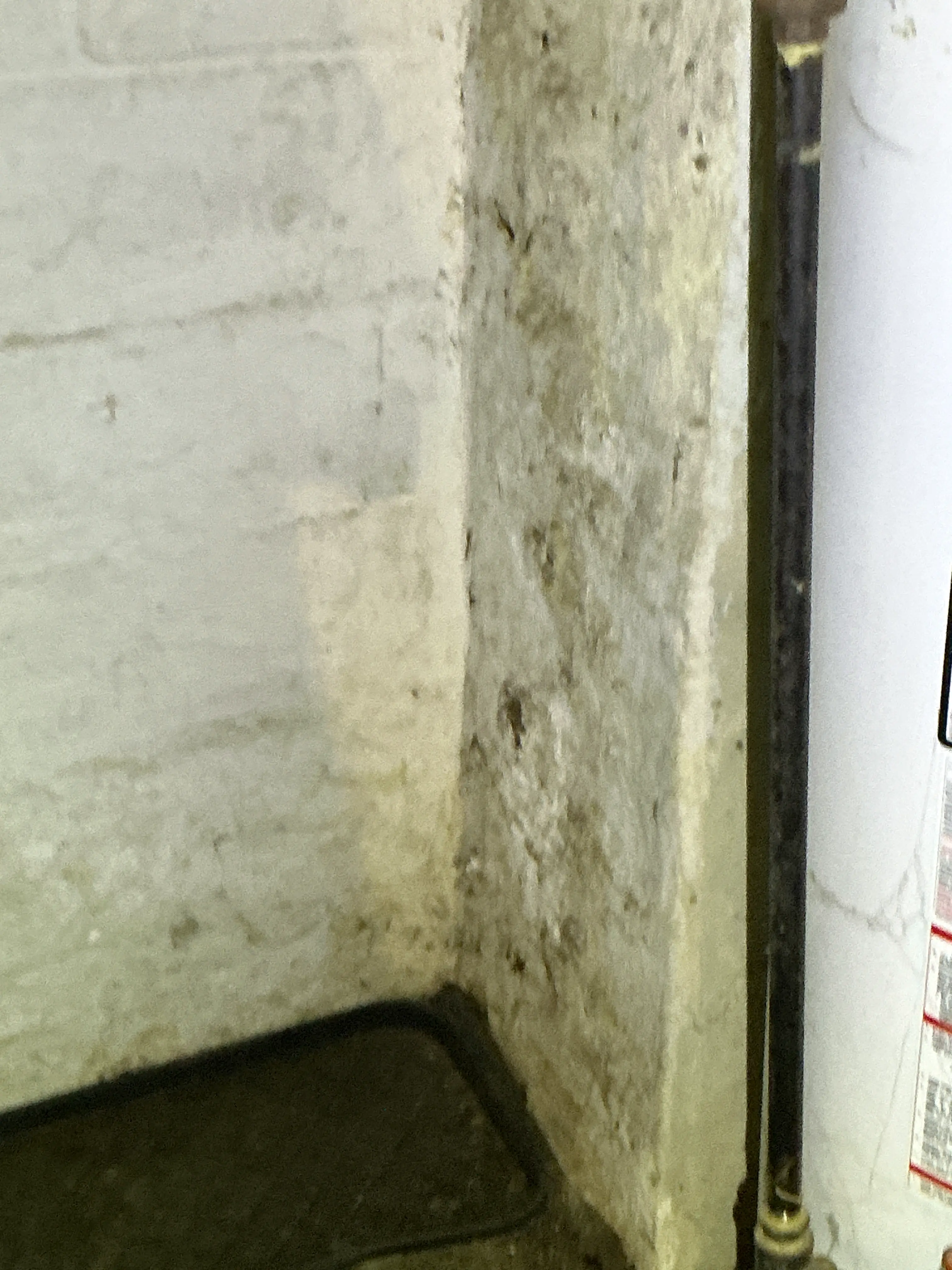 Moisture staining and efflorescence on concrete basement foundation wall 2026-07-11
