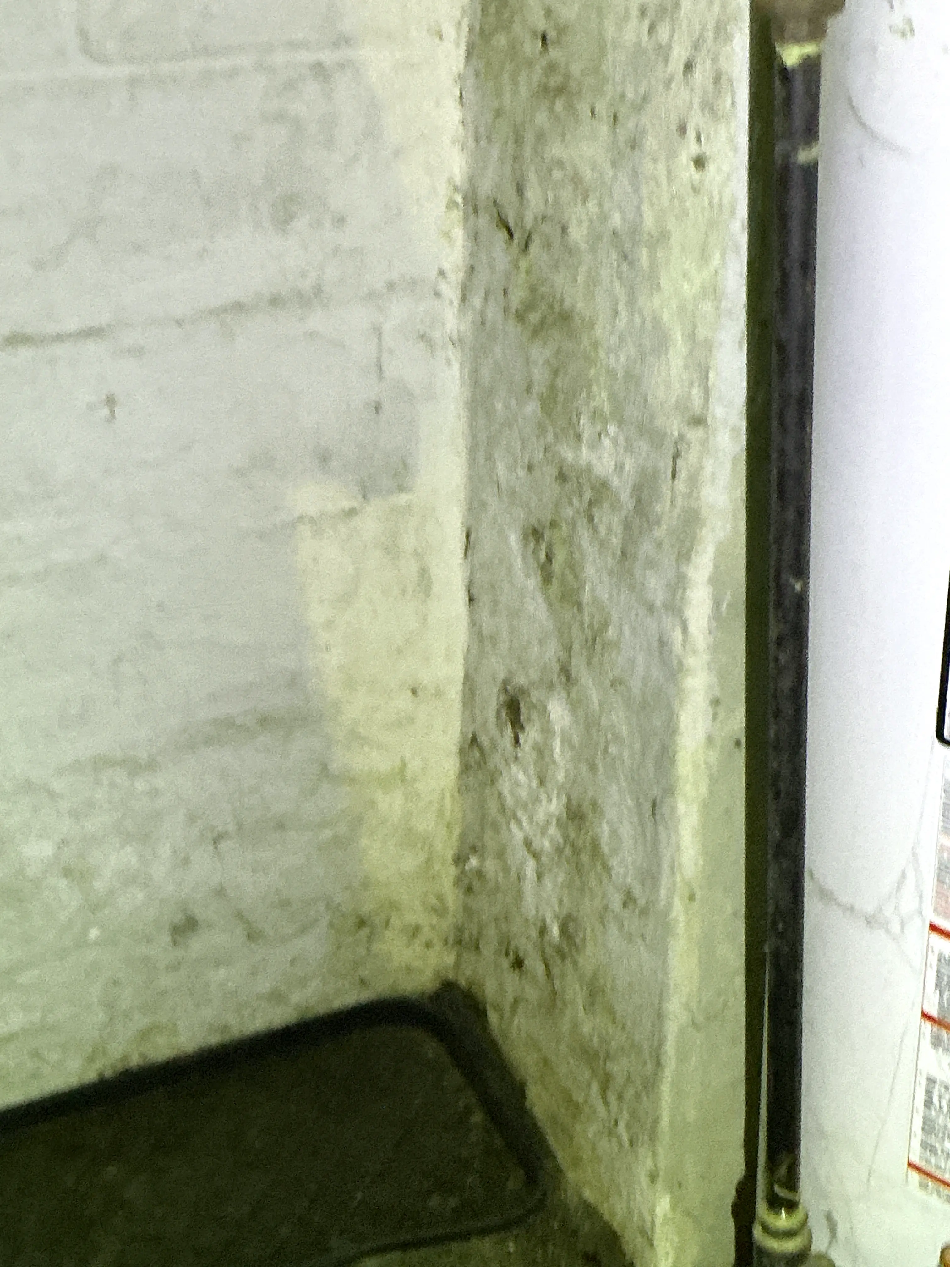 Moisture staining and efflorescence on concrete basement foundation wall 2026-08-24