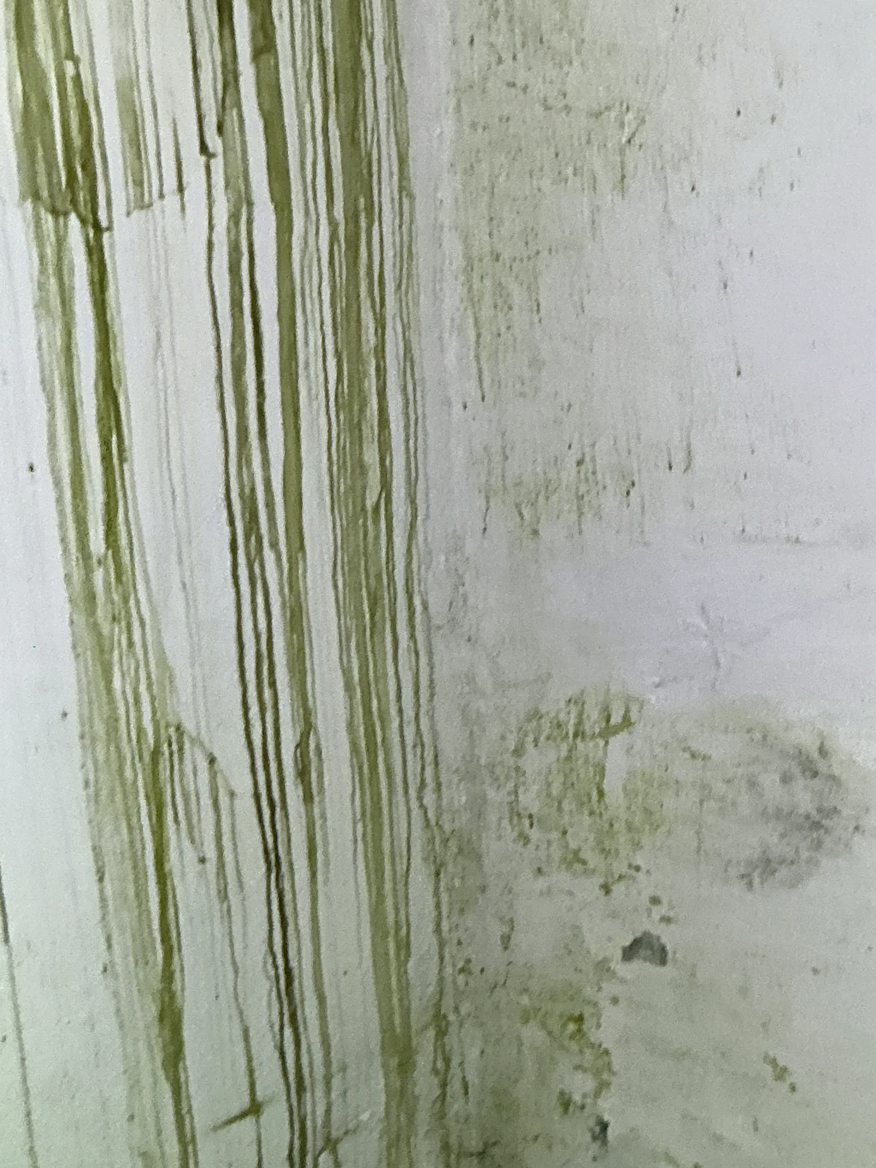 Water stains and moisture damage on ceiling molding and wall surface 2026-08-11