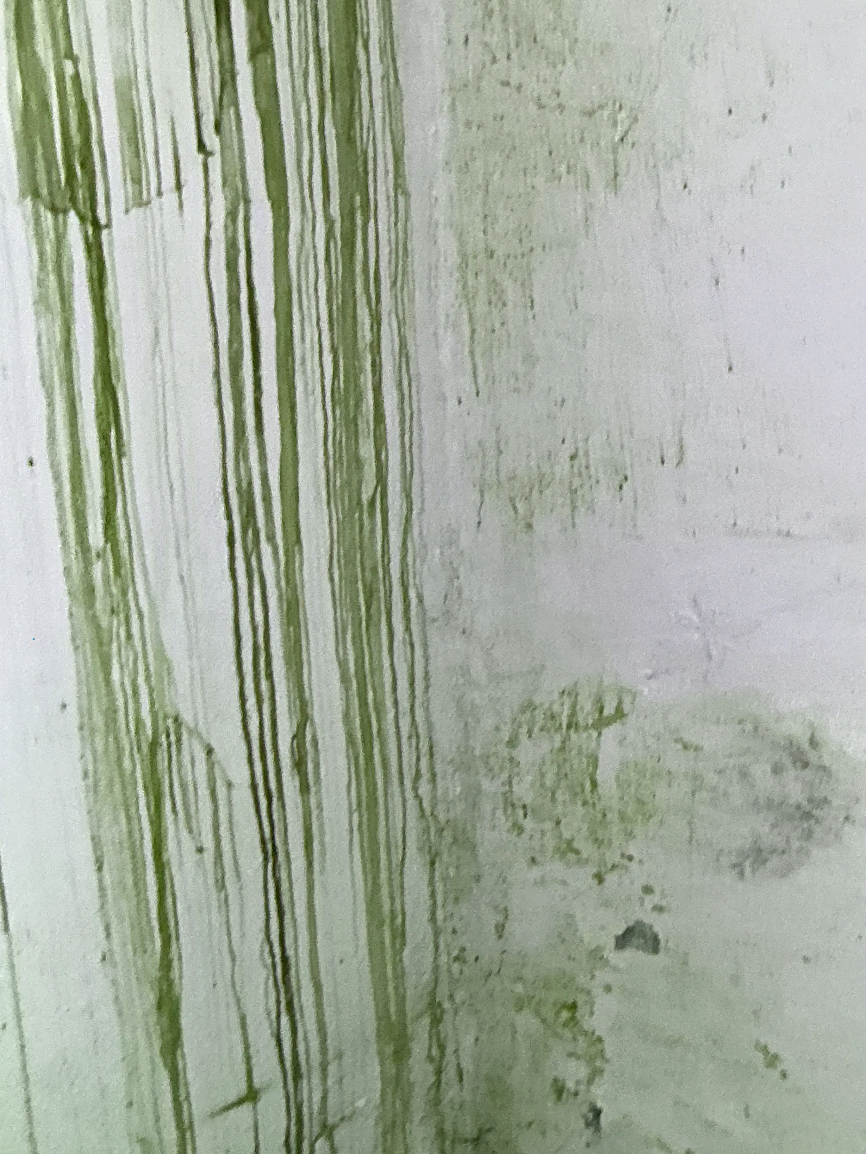 Water stains and moisture damage on ceiling molding and wall surface 2026-07-27