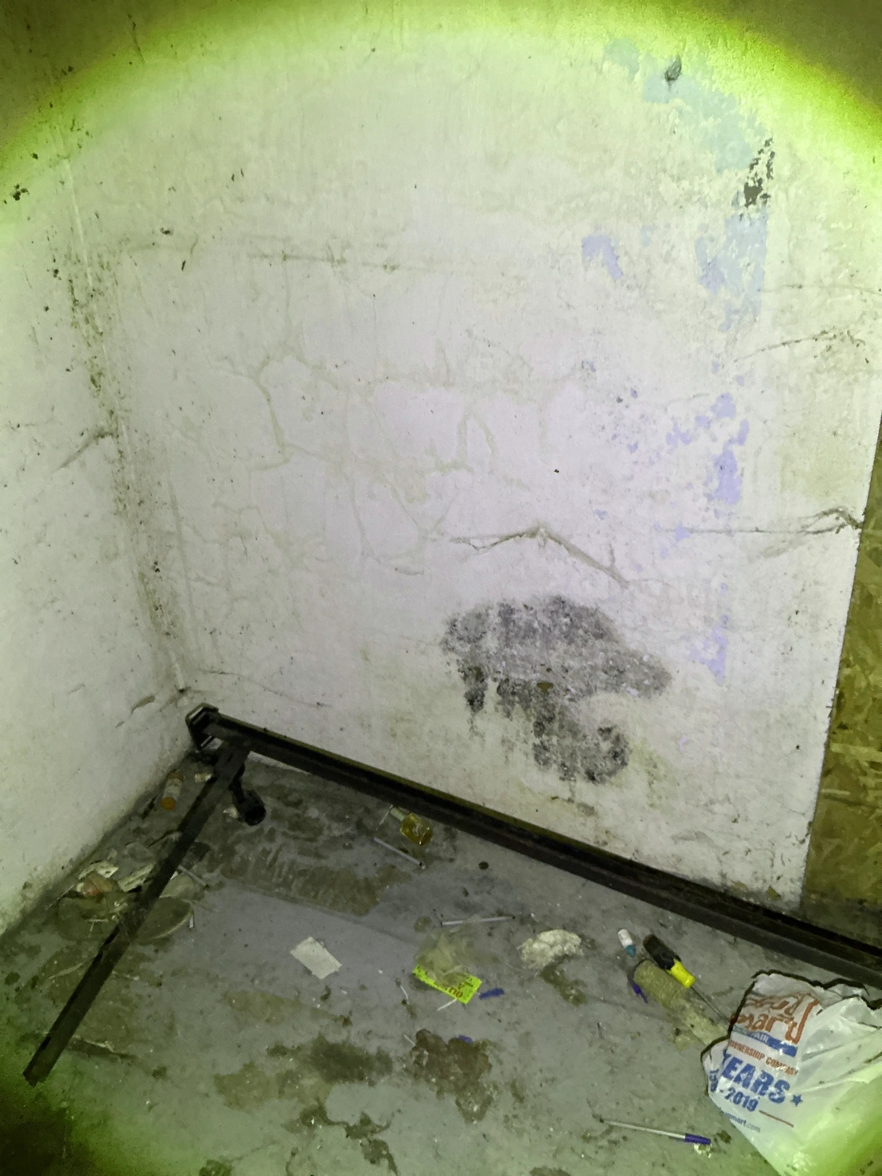 Black mold growth on wall surface in home inspection 2026-07-16