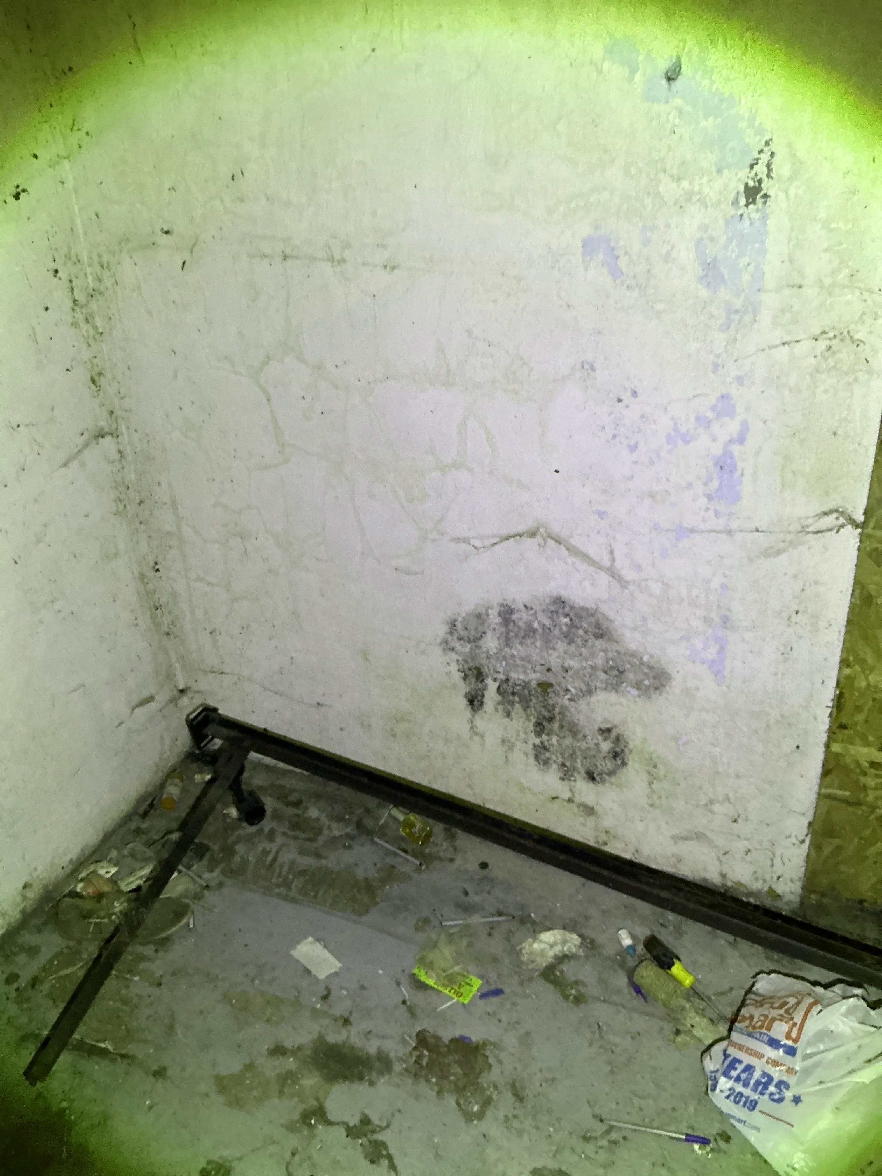 Black mold growth on wall surface in indoor air quality testing 2026-08-05