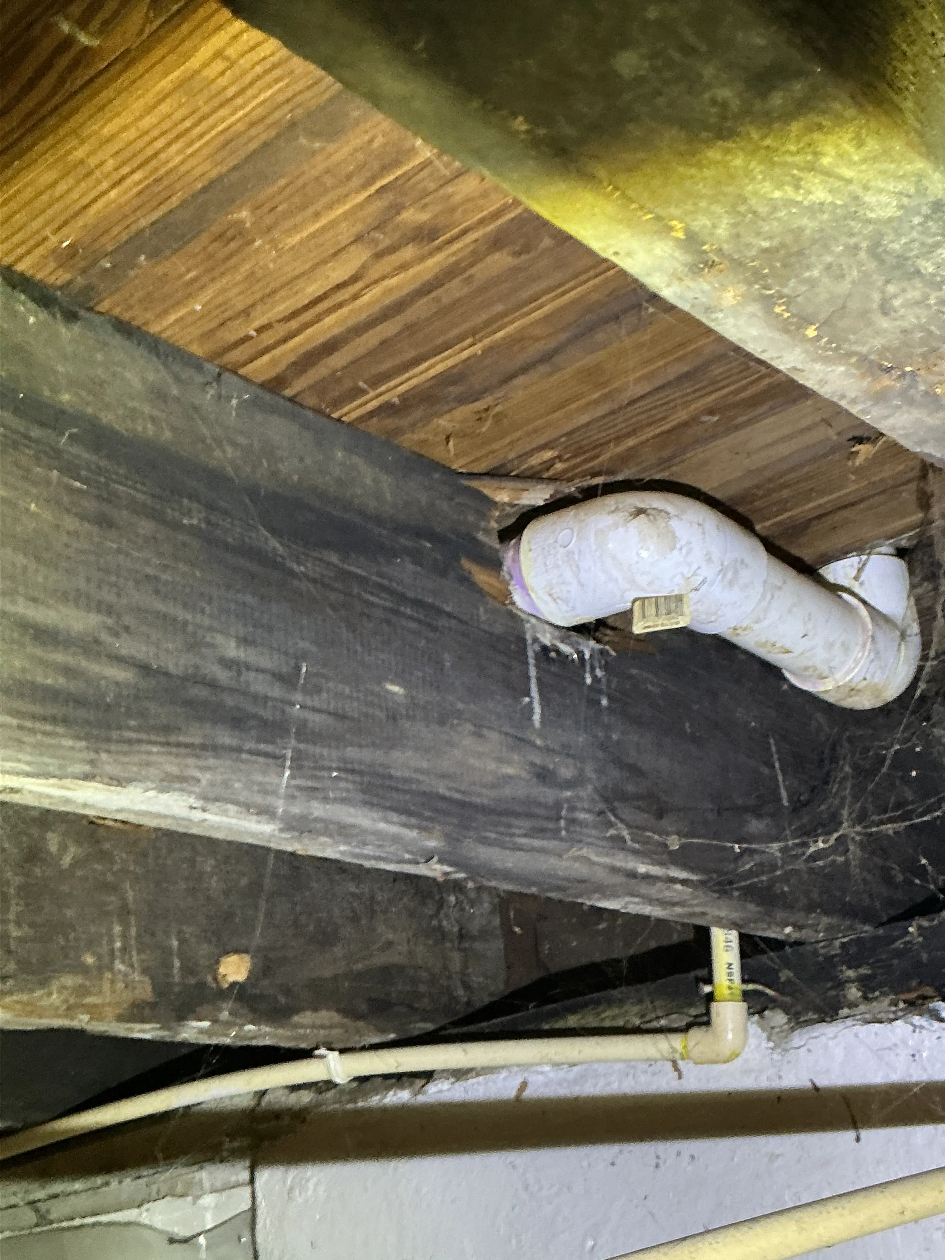PVC drain line and CPVC pipe routed through wood floor joists 2026-07-19