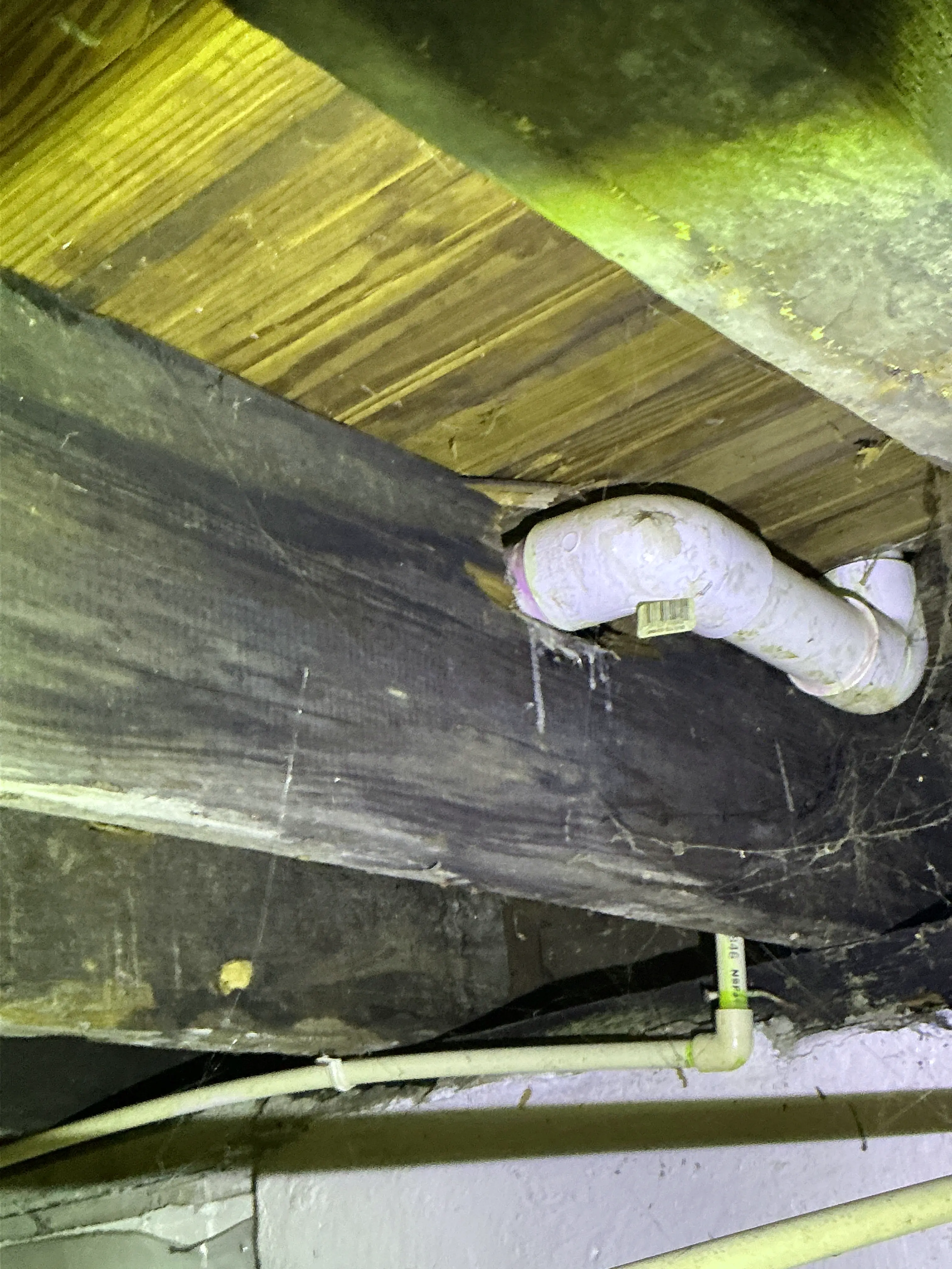 PVC drain line and CPVC pipe routed through wood floor joists 2026-08-24