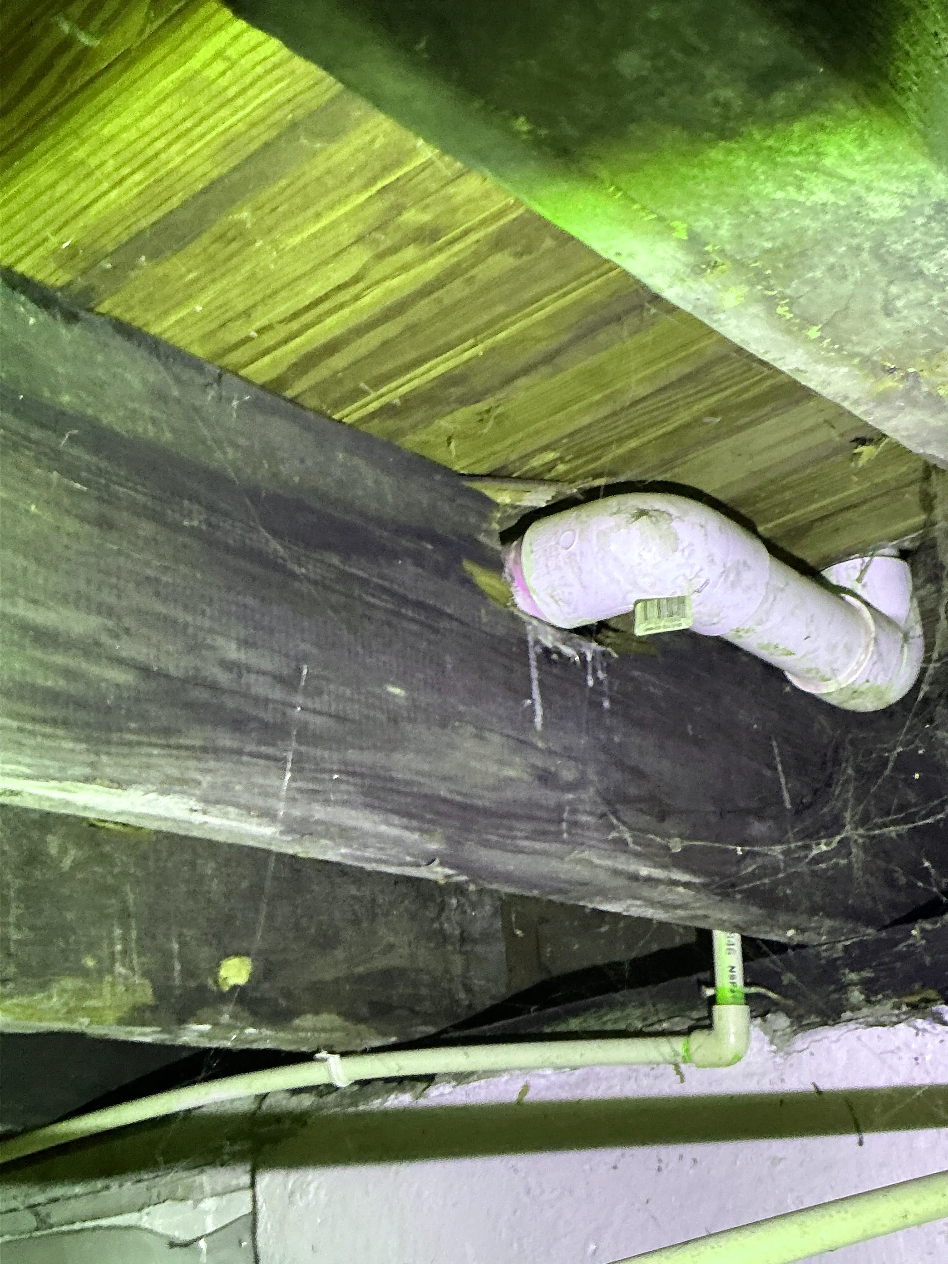 PVC drain line and CPVC pipe routed through wood floor joists 2026-08-30