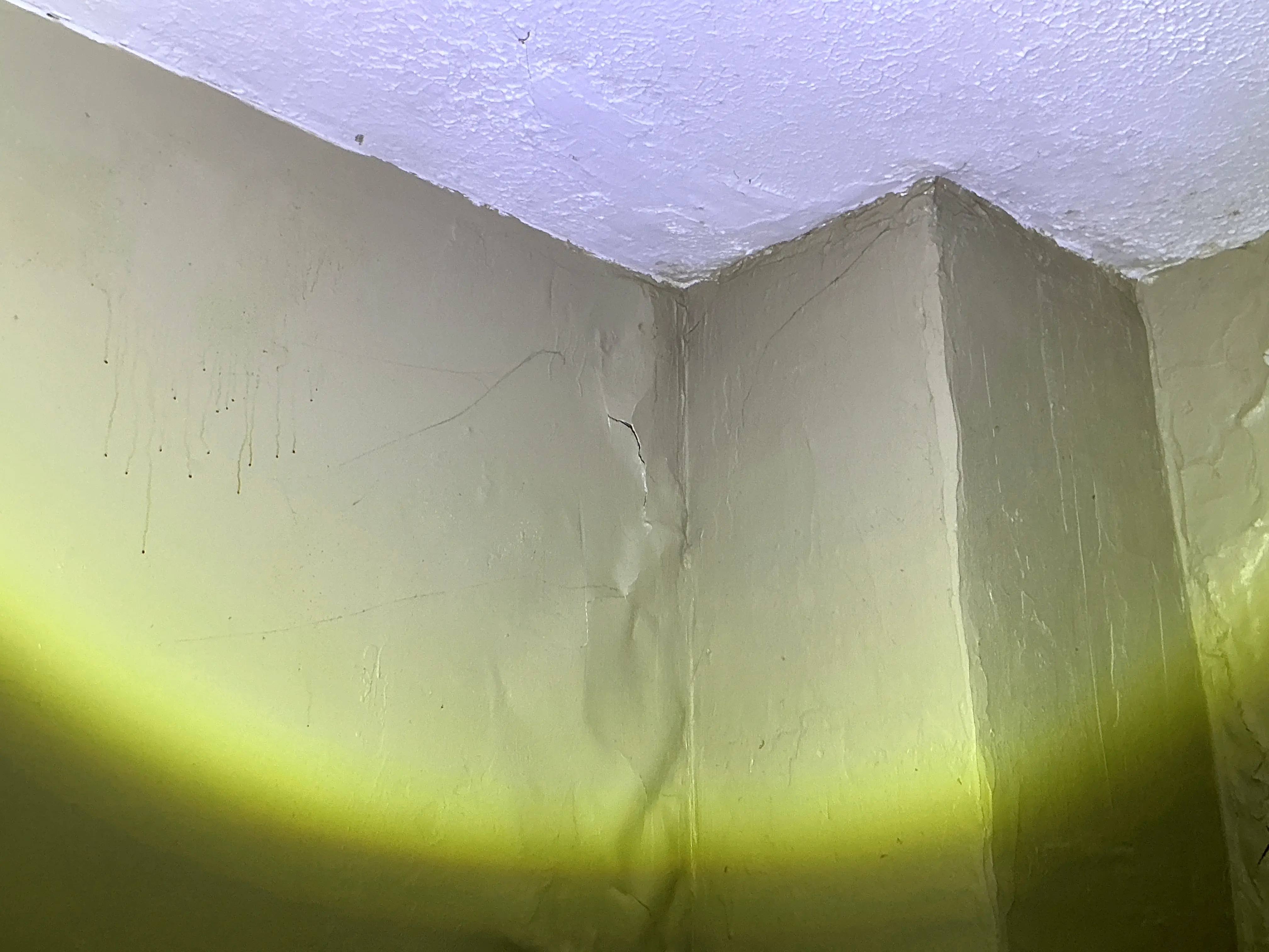 Water damage, drip stains, and peeling paint near ceiling wall corner 2026-09-02