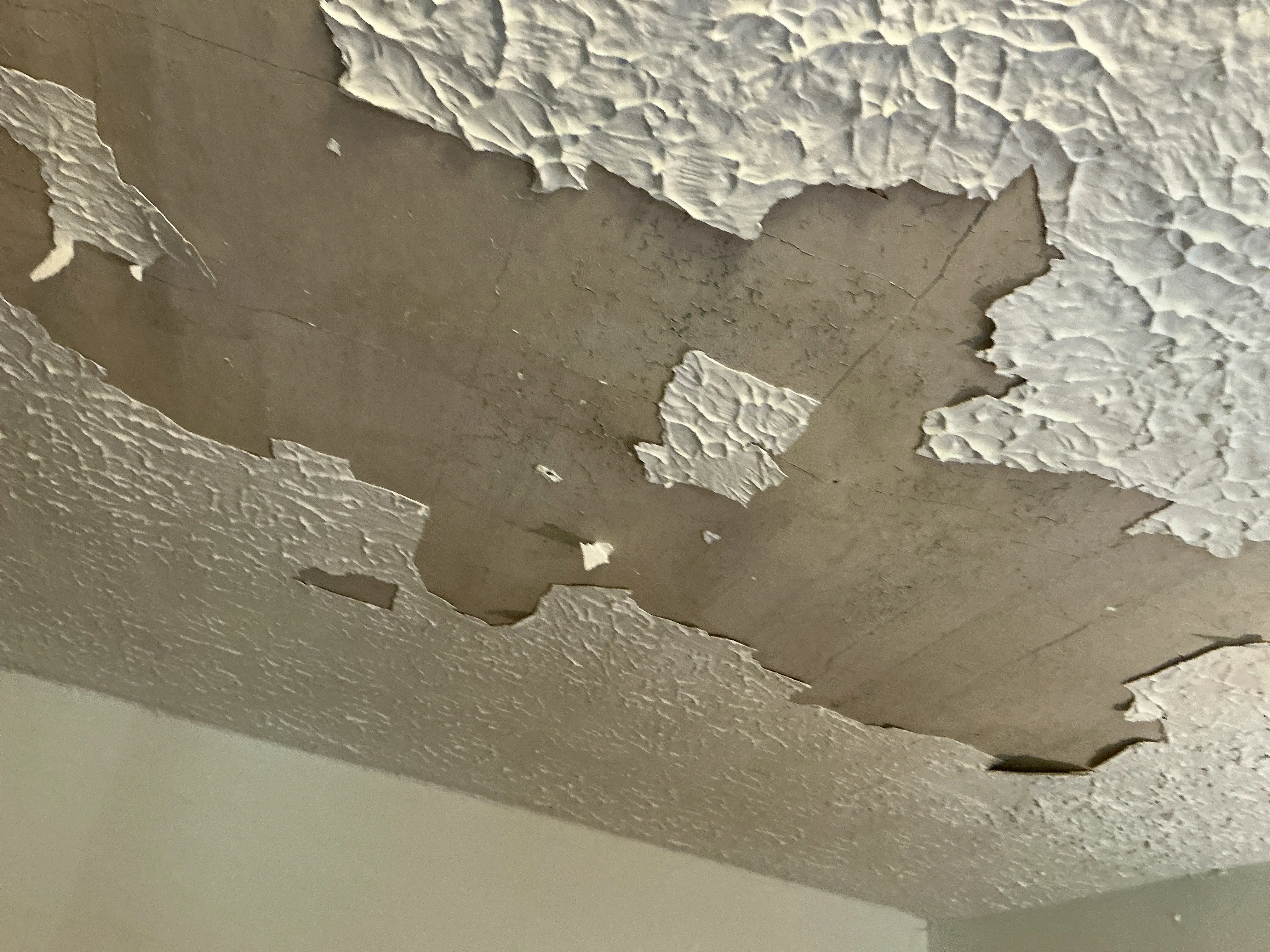 Peeling textured ceiling finish exposing bare drywall from moisture damage or adhesion failure 2026-07-12