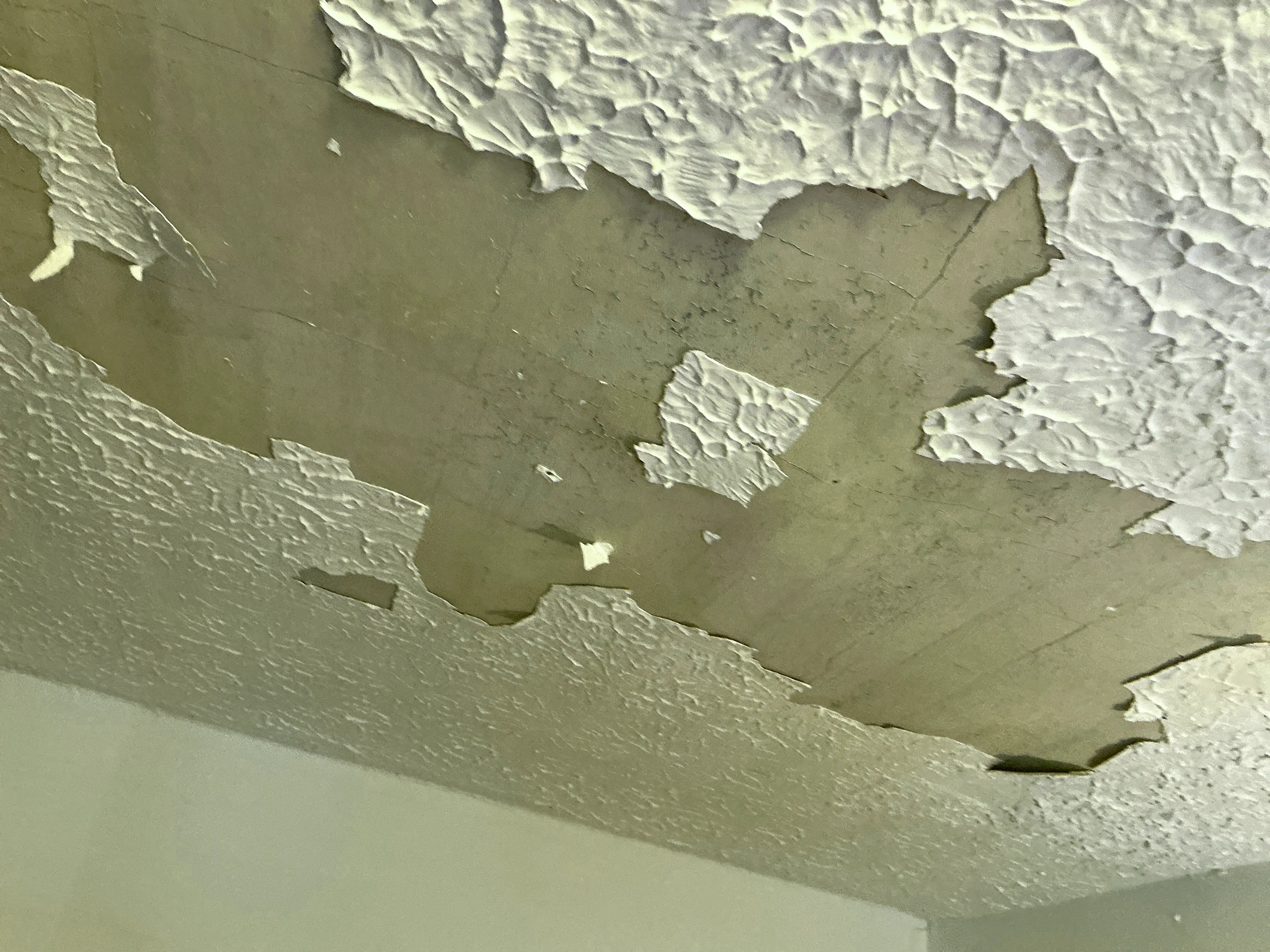 Peeling textured ceiling finish exposing bare drywall from moisture damage or adhesion failure 2026-08-22