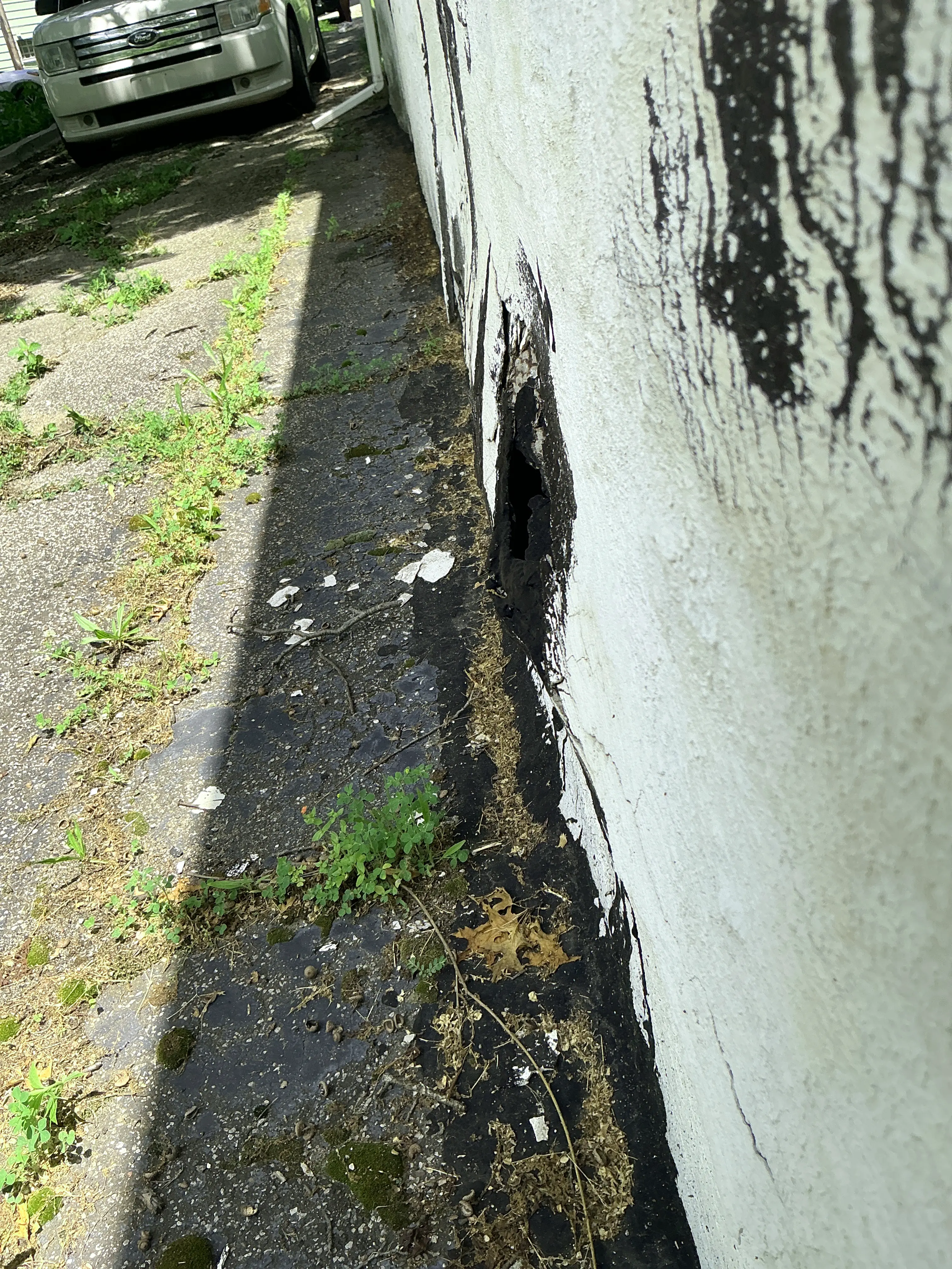 Hole at the base of exterior wall and foundation during lead inspection 2026-07-05