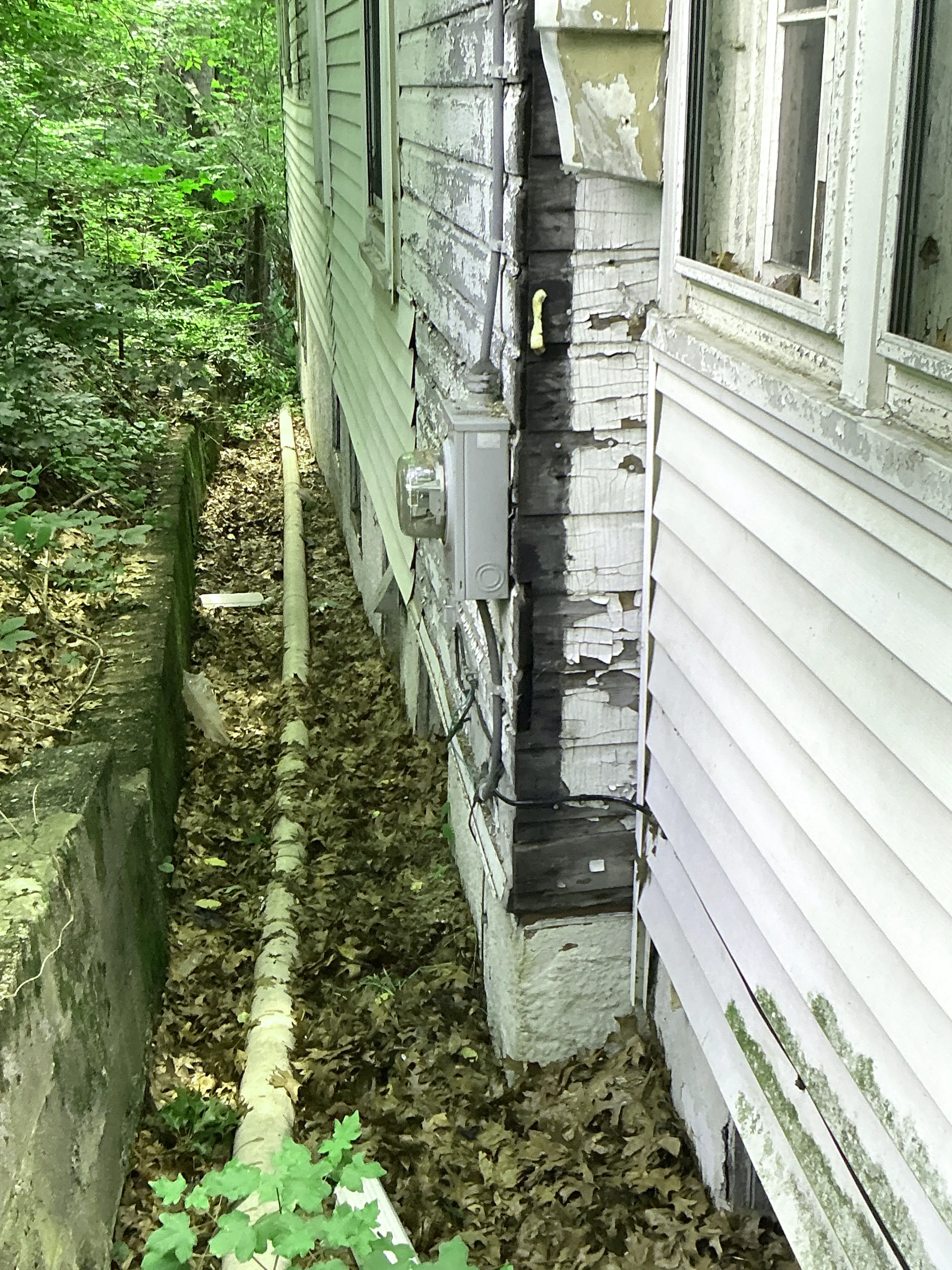 Severe peeling paint and wood decay on exterior wall near electrical meter 2026-07-24