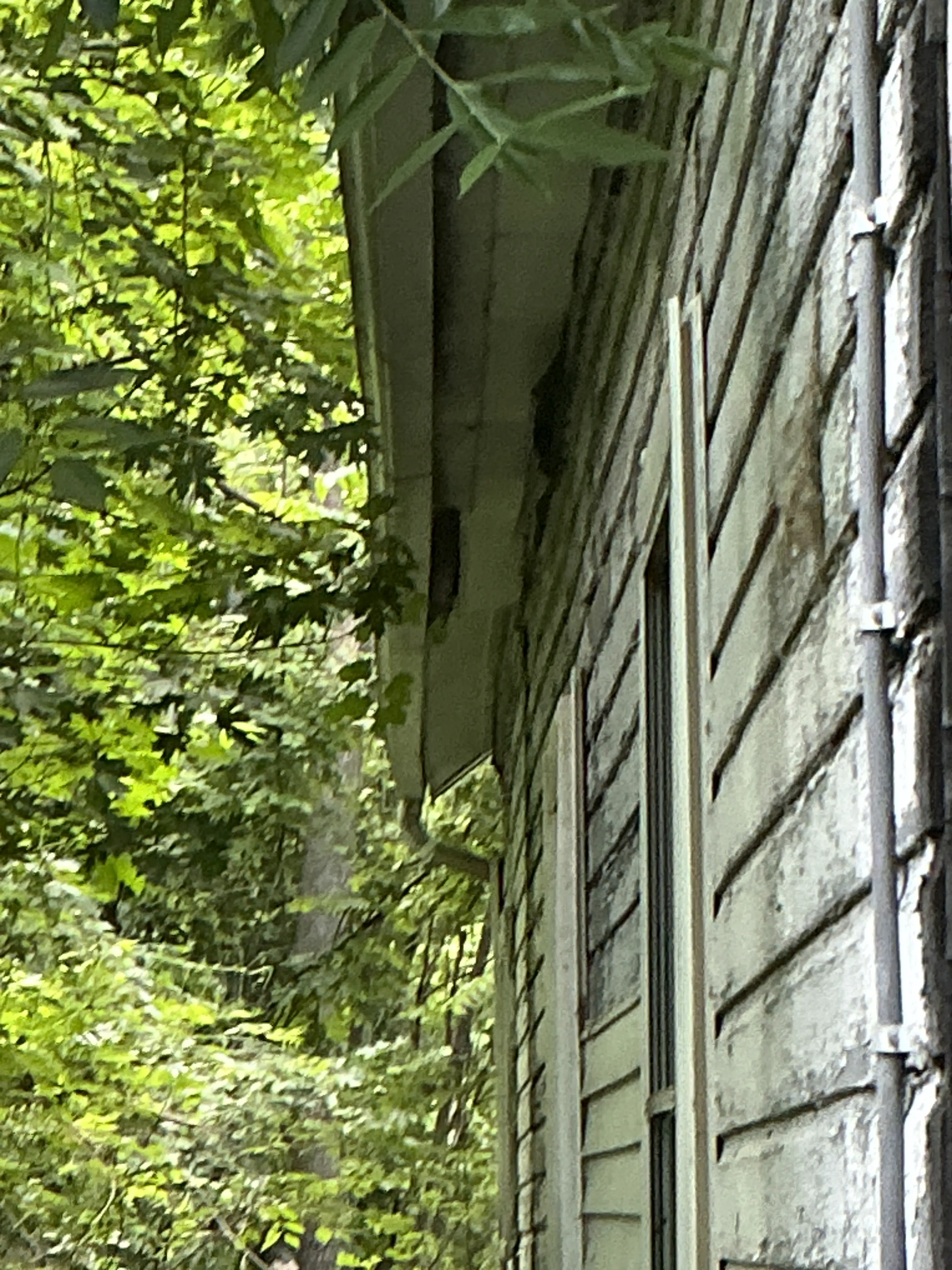 Weathered soffit and fascia boards on house eave showing paint peeling and wood decay 2026-07-13